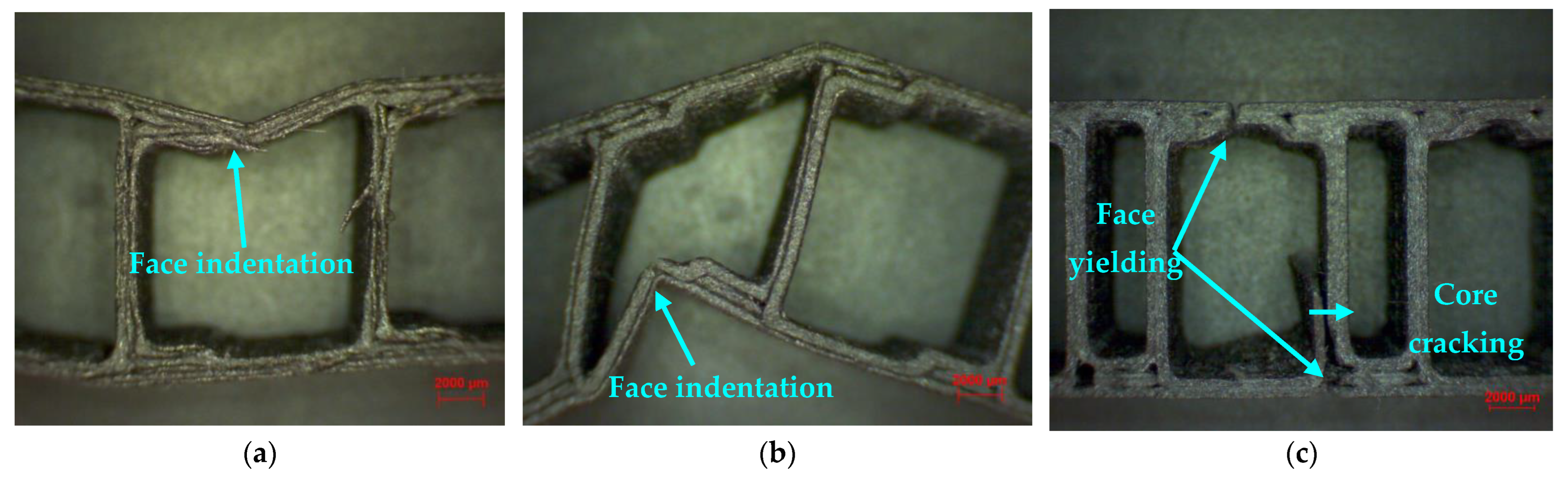 Polymers 14 02923 g009