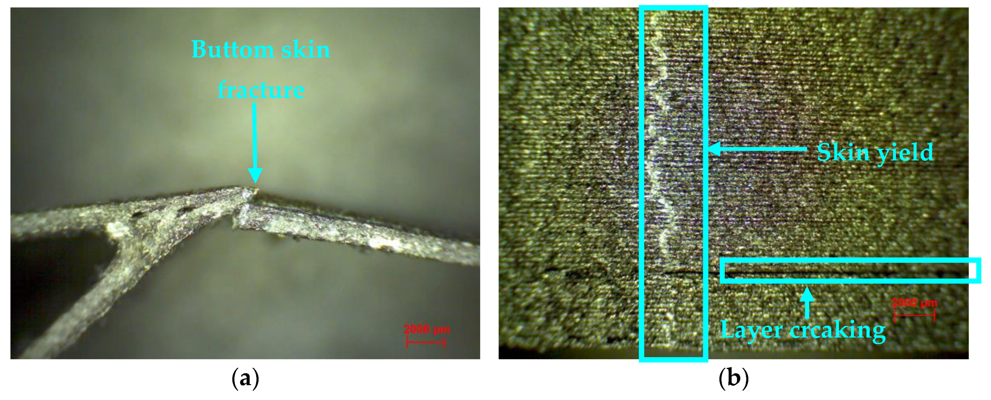 Polymers 14 02923 g011