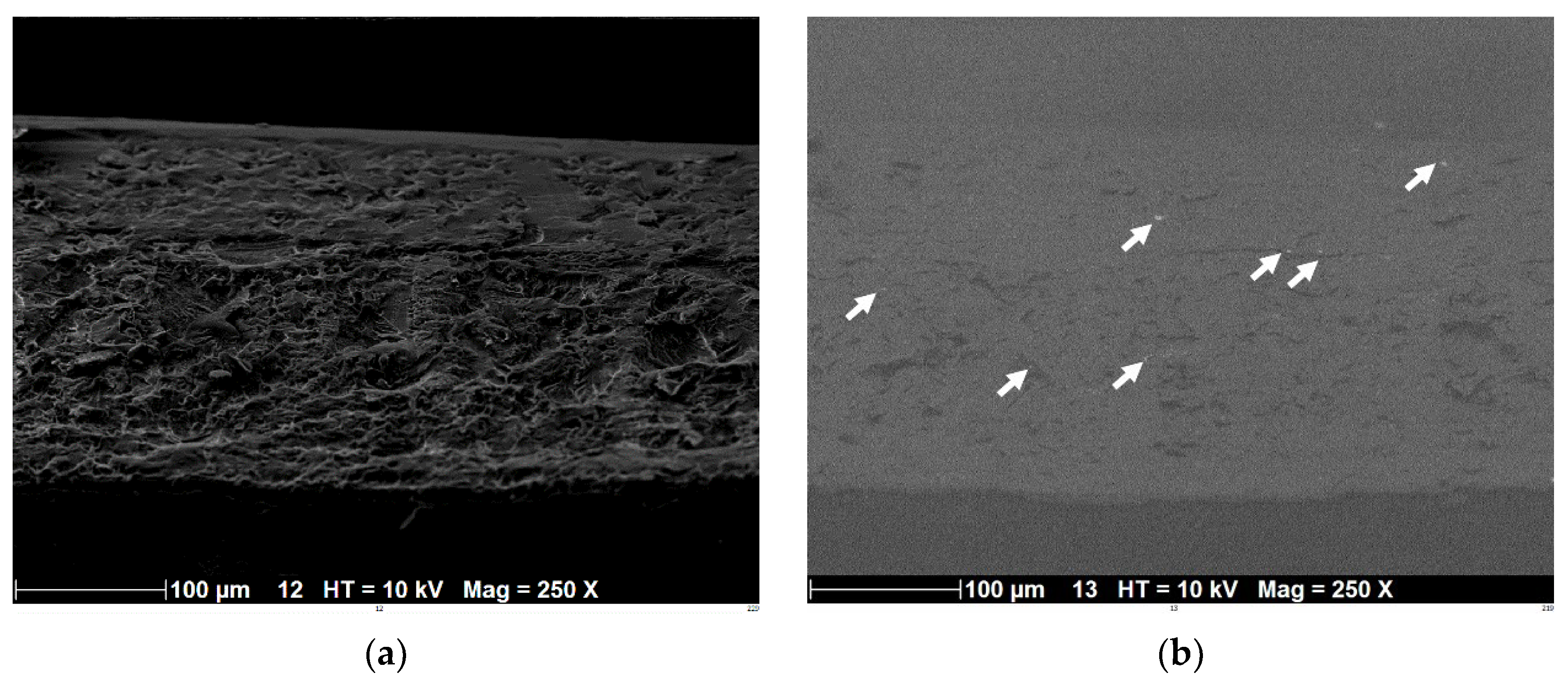 Polymers 14 02924 g005