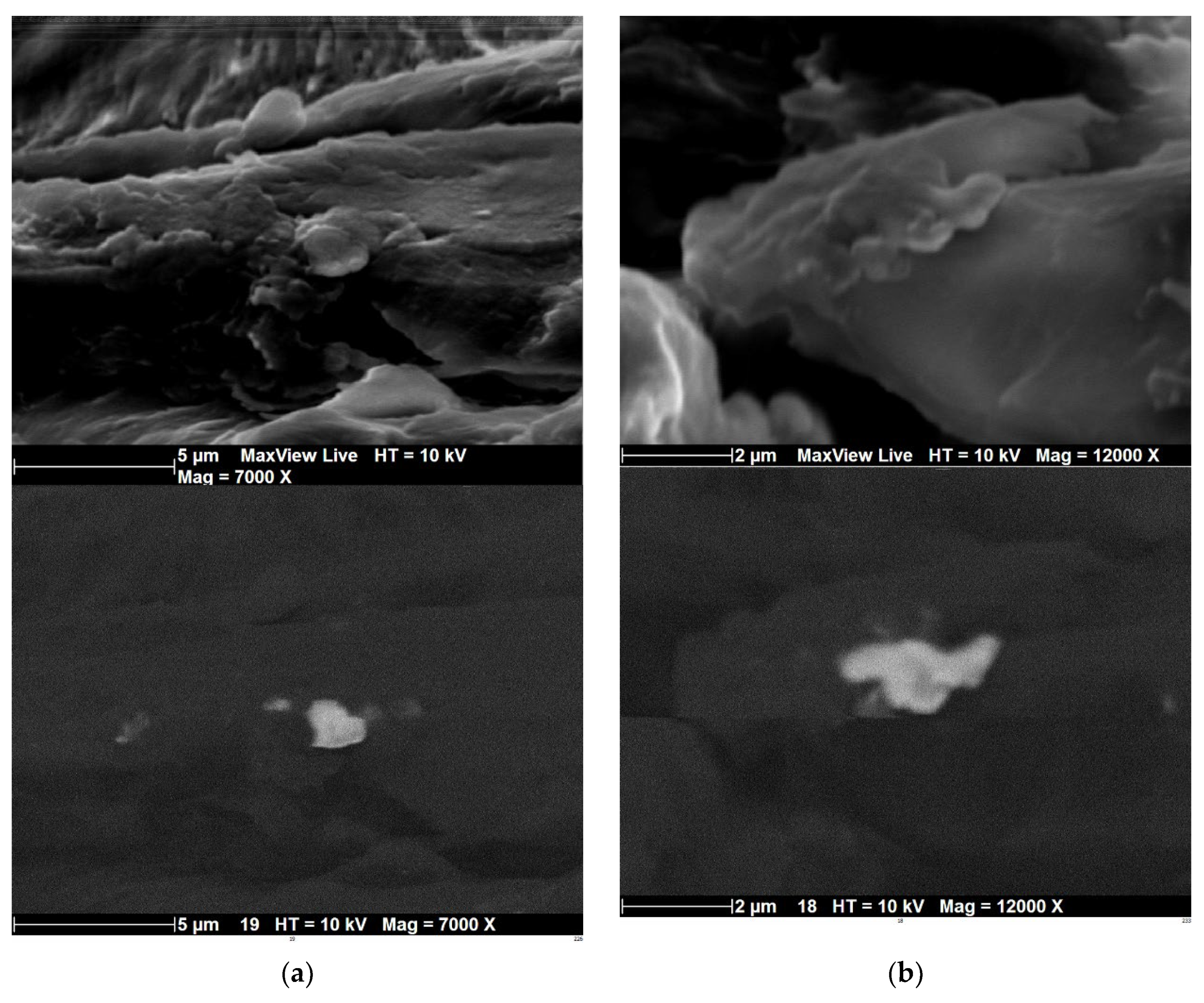 Polymers 14 02924 g006