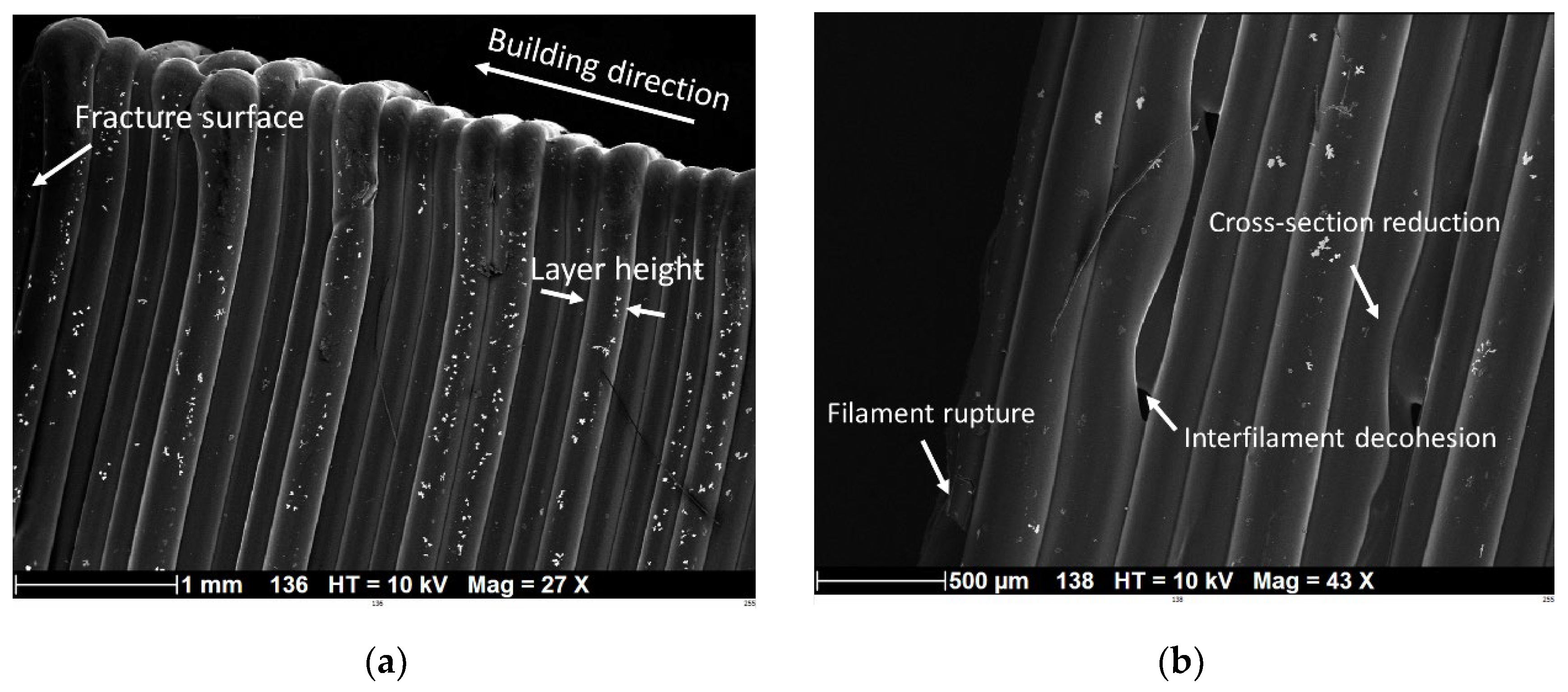 Polymers 14 02924 g011