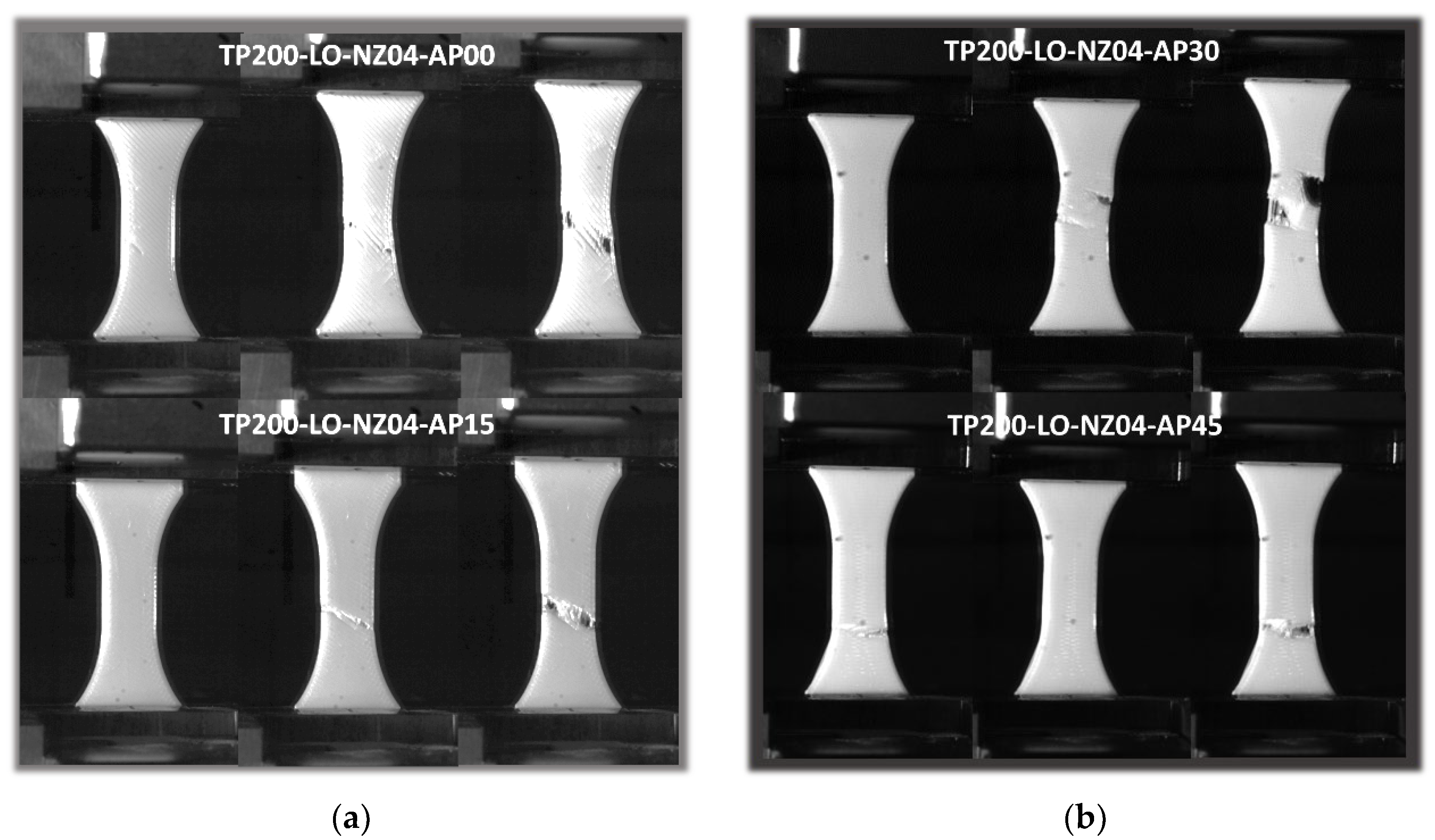 Polymers 14 02924 g012