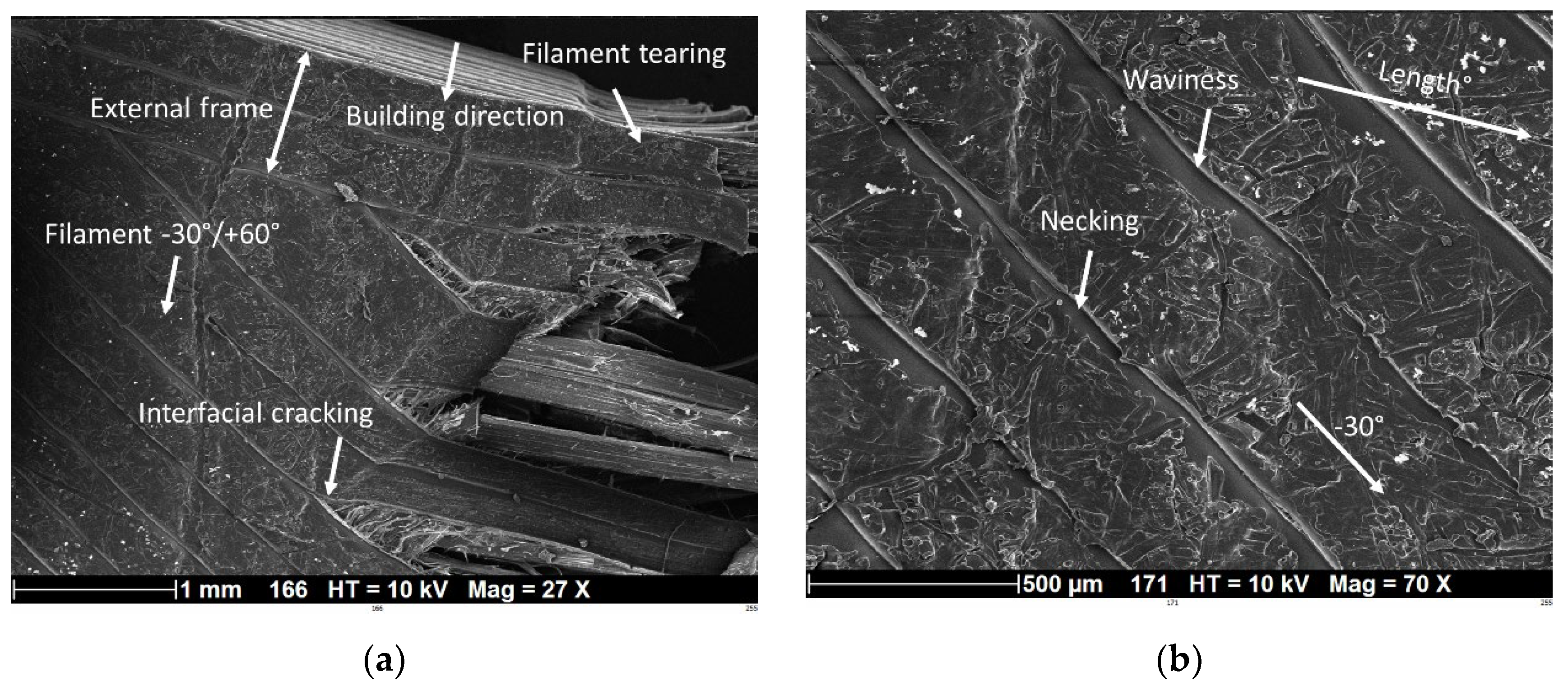 Polymers 14 02924 g014