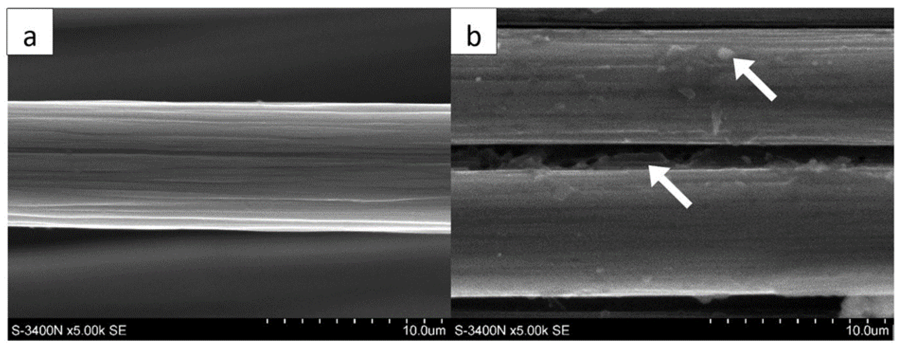 Polymers 14 02925 g002