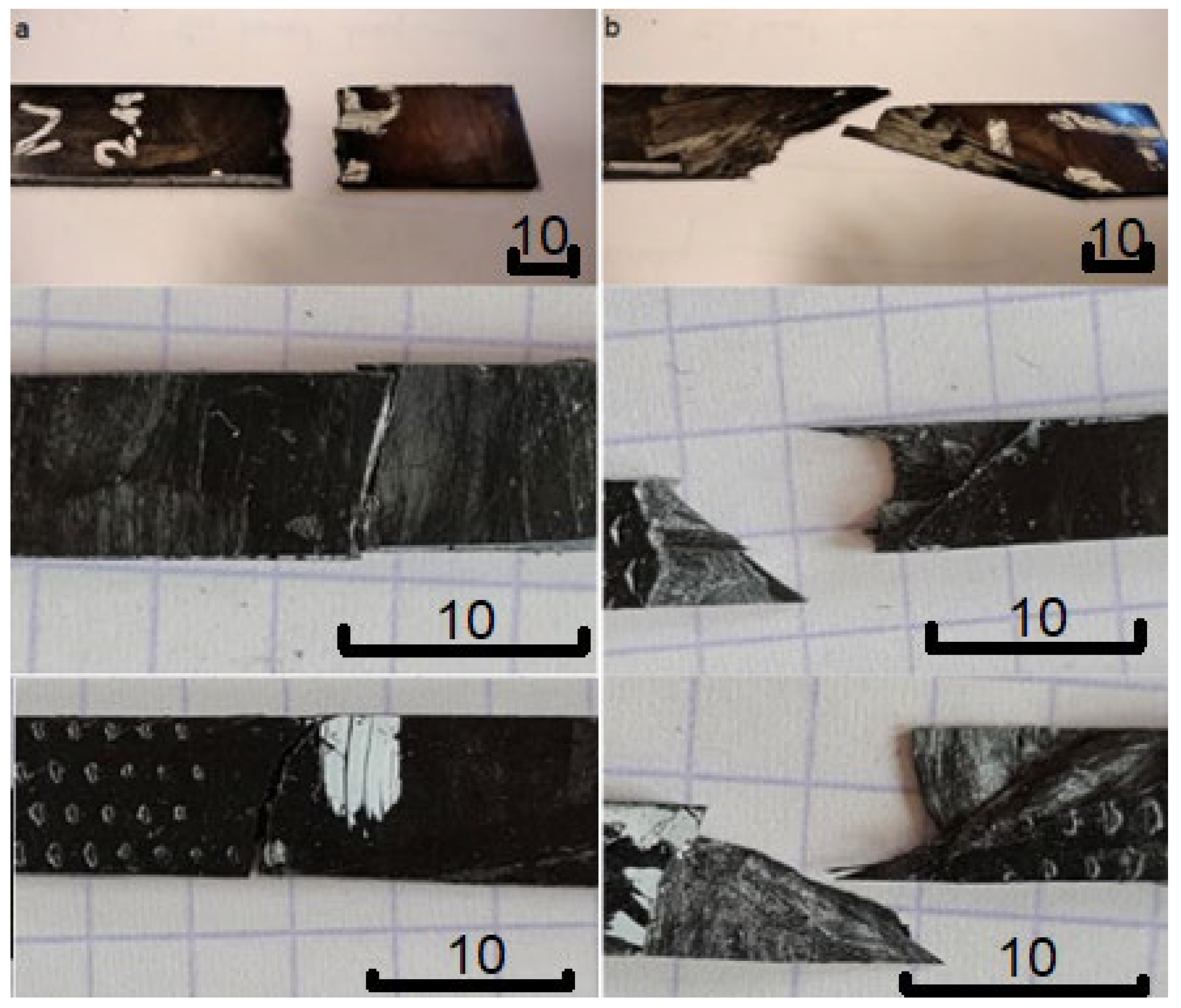 Polymers 14 02925 g009