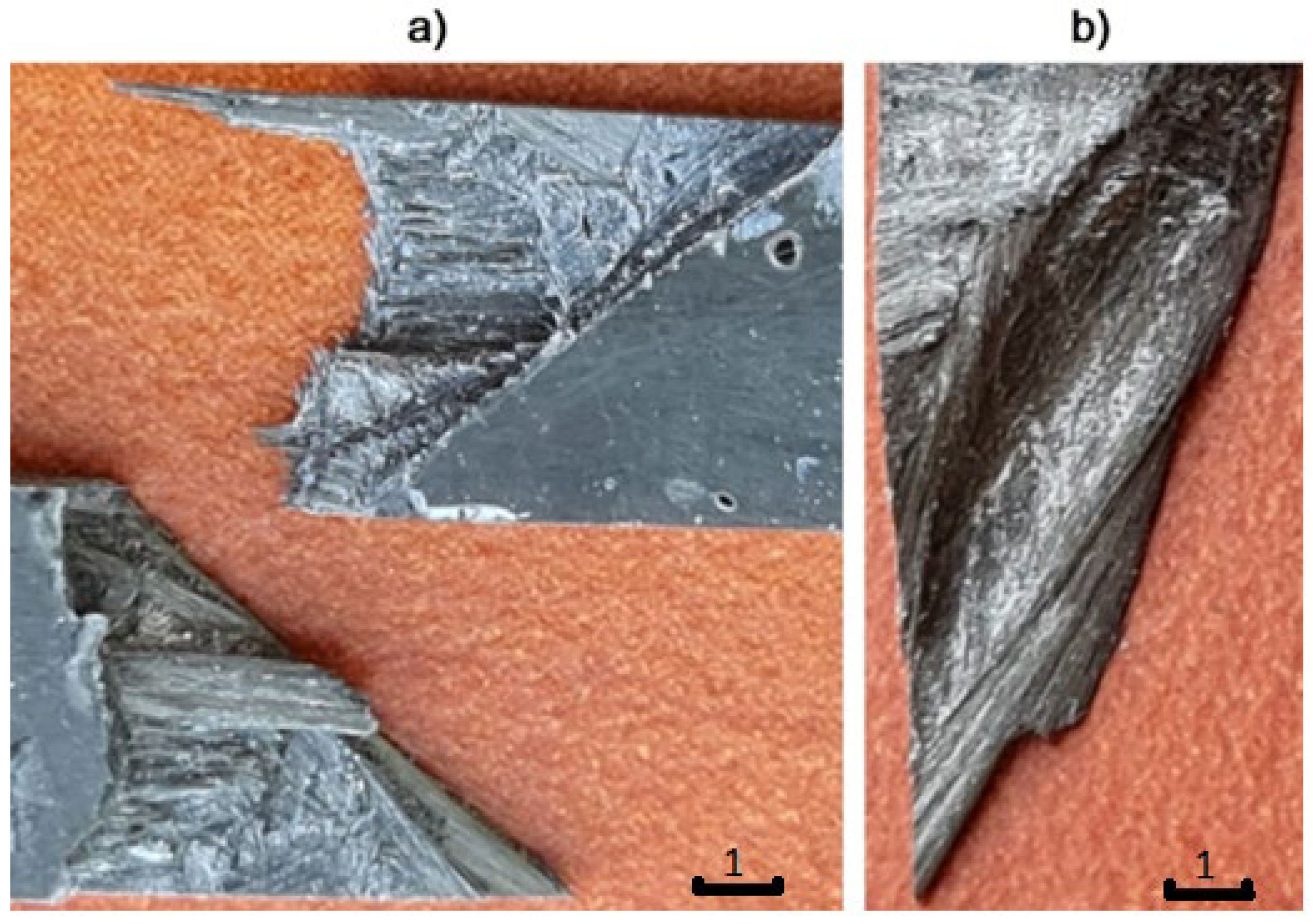 Polymers 14 02925 g010