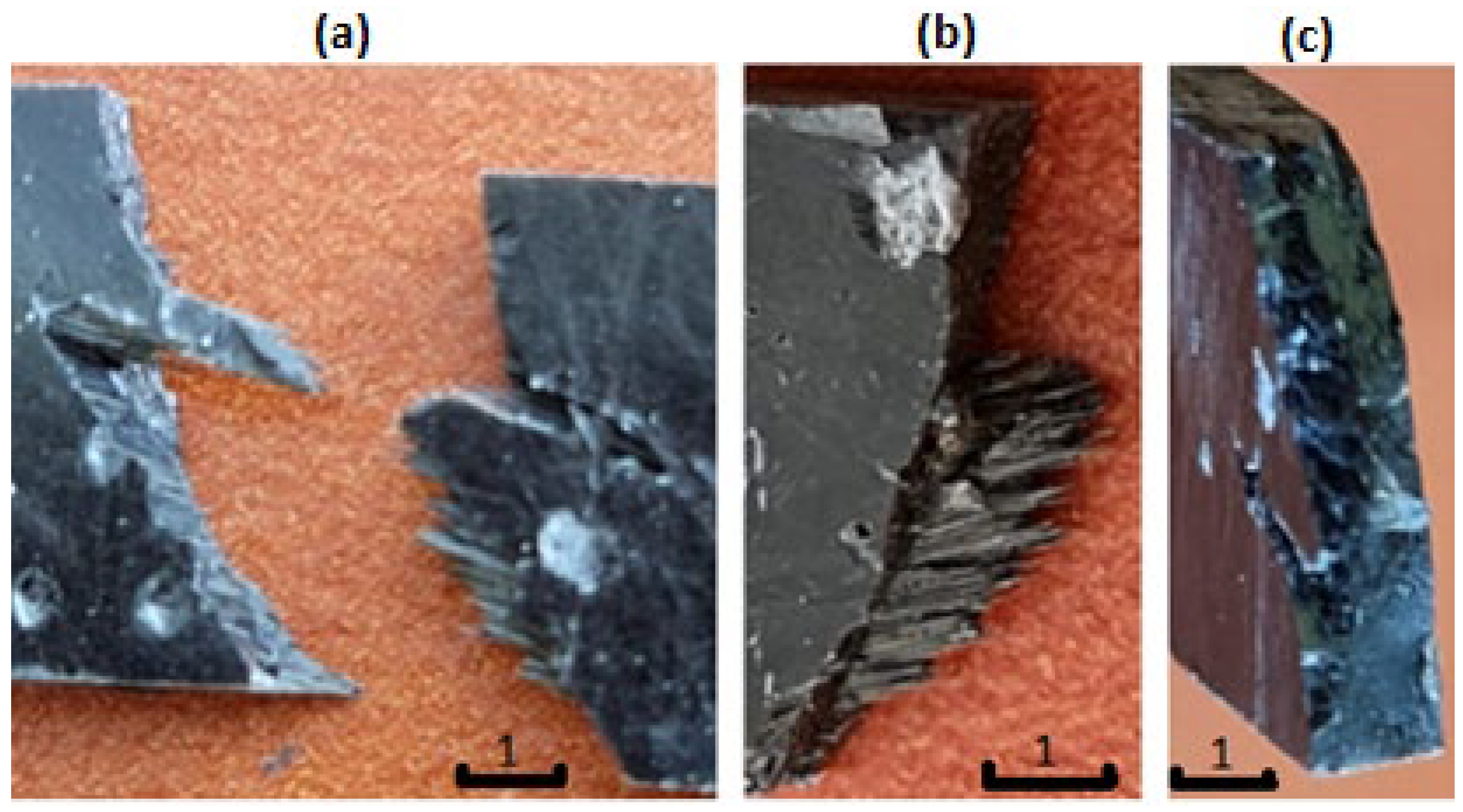 Polymers 14 02925 g011