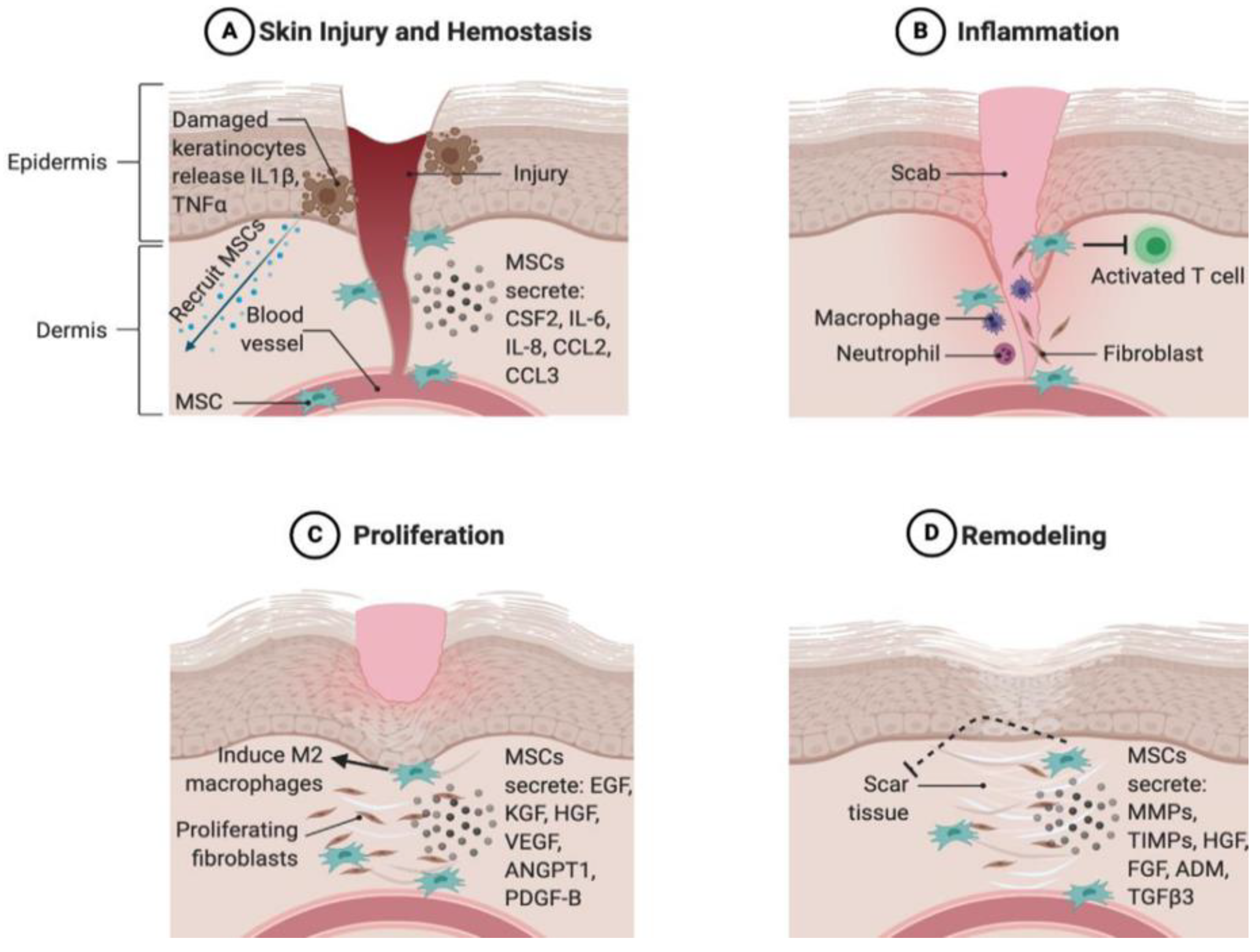 Polymers 14 02929 g001 Polymers 14 02929 g001
