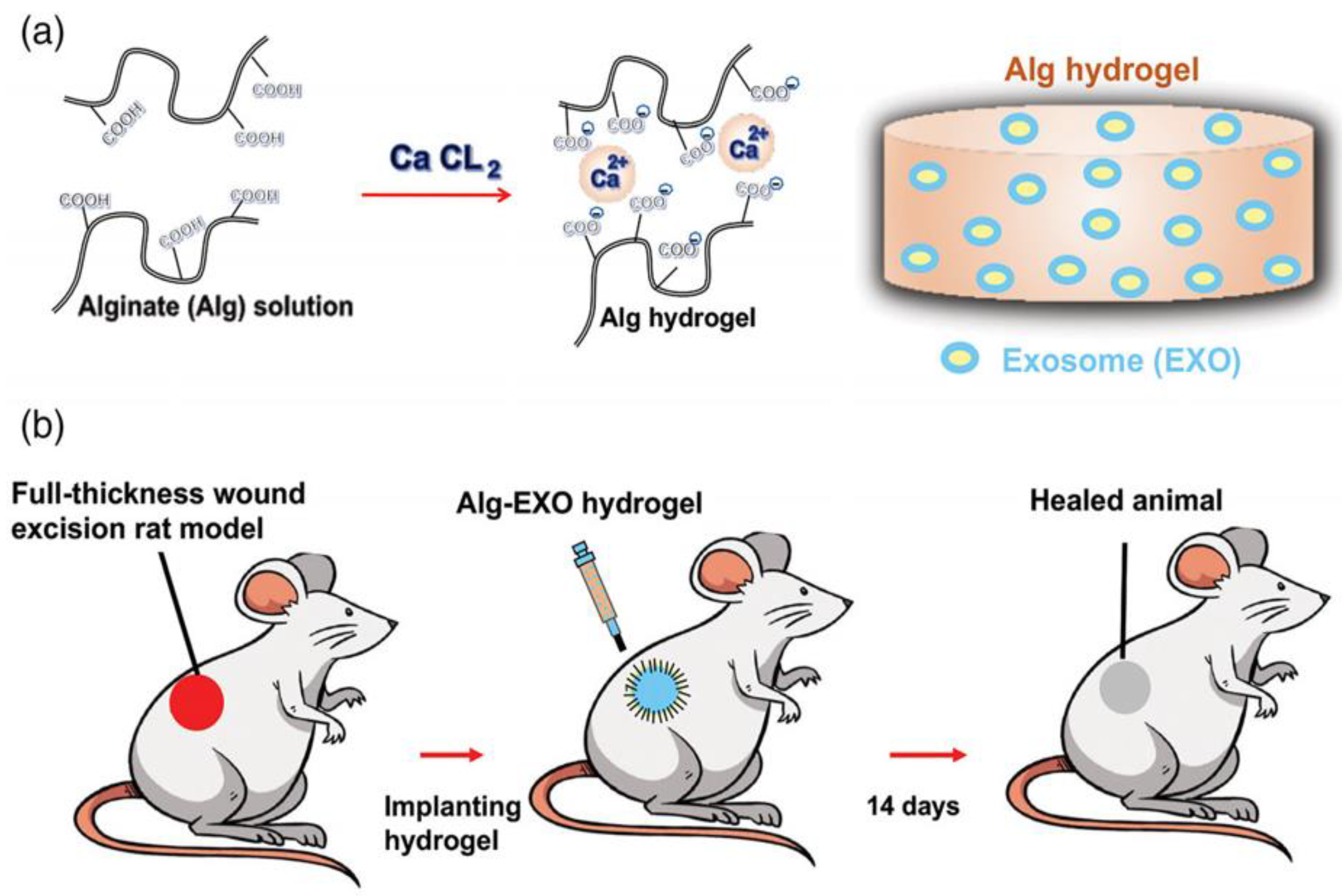 Polymers 14 02929 g004 Polymers 14 02929 g004