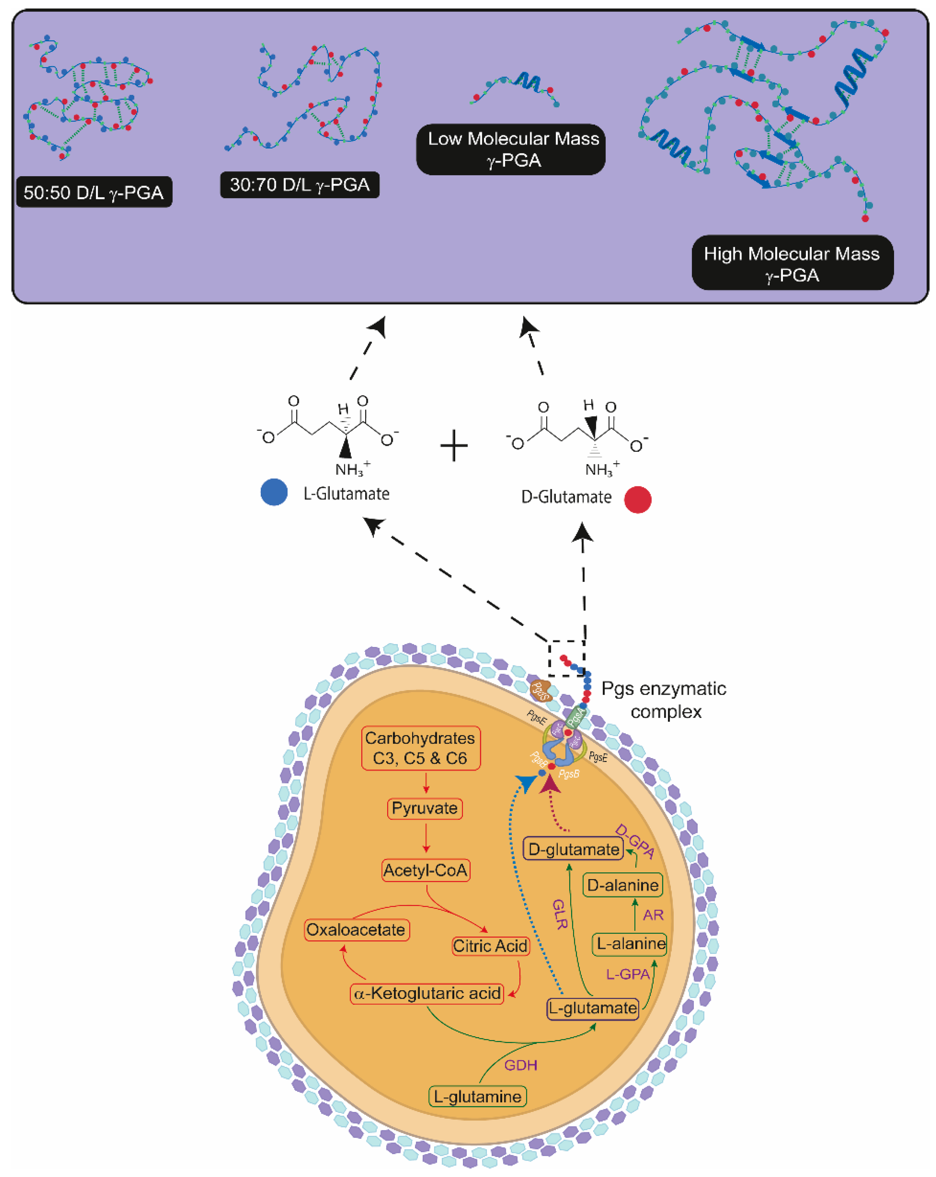 Polymers 14 02937 g001