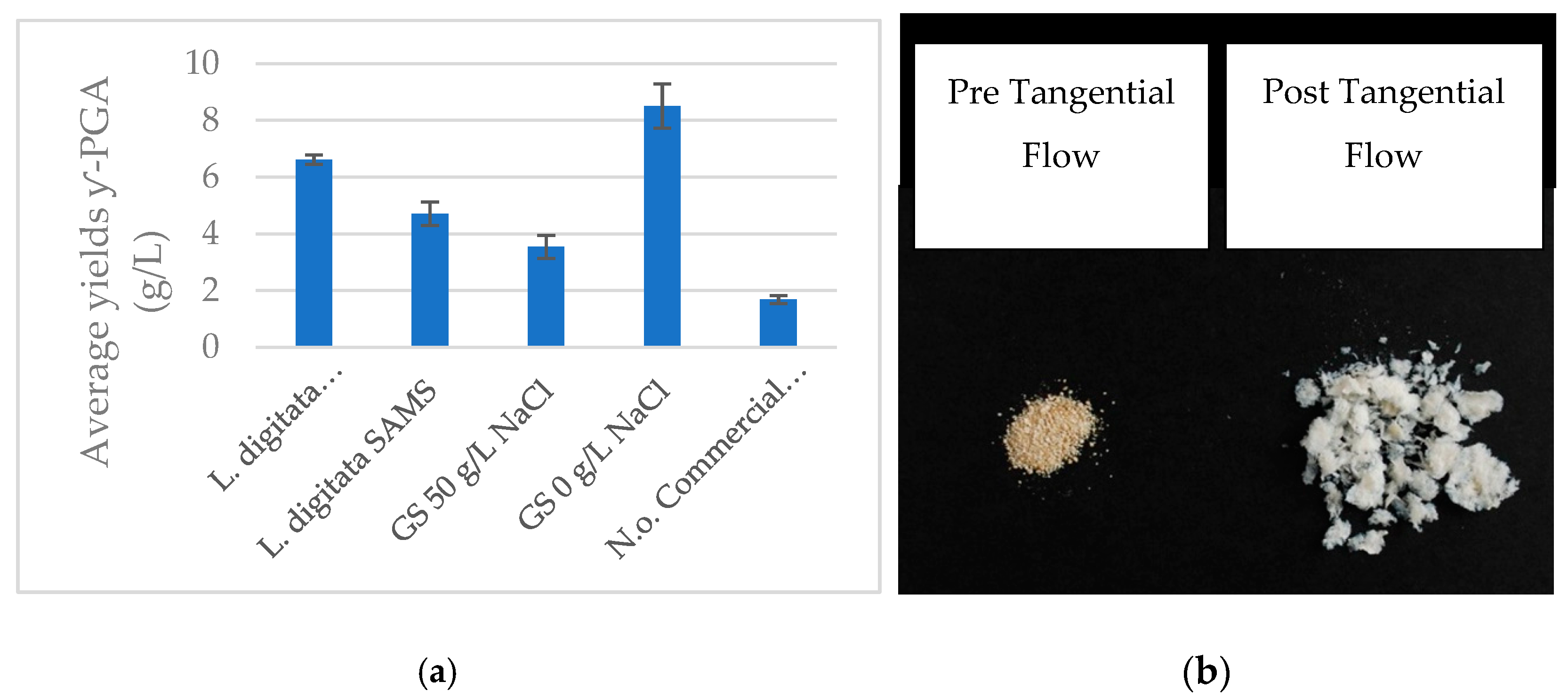 Polymers 14 02937 g003
