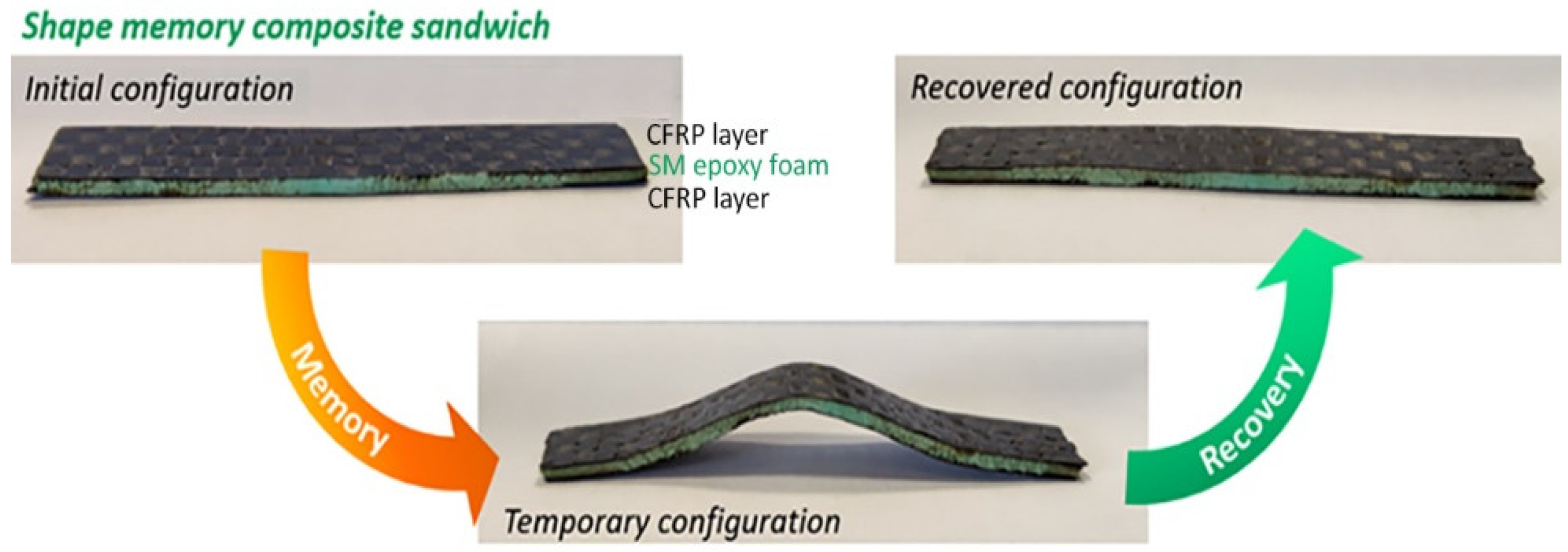 Polymers 14 02945 g003 550