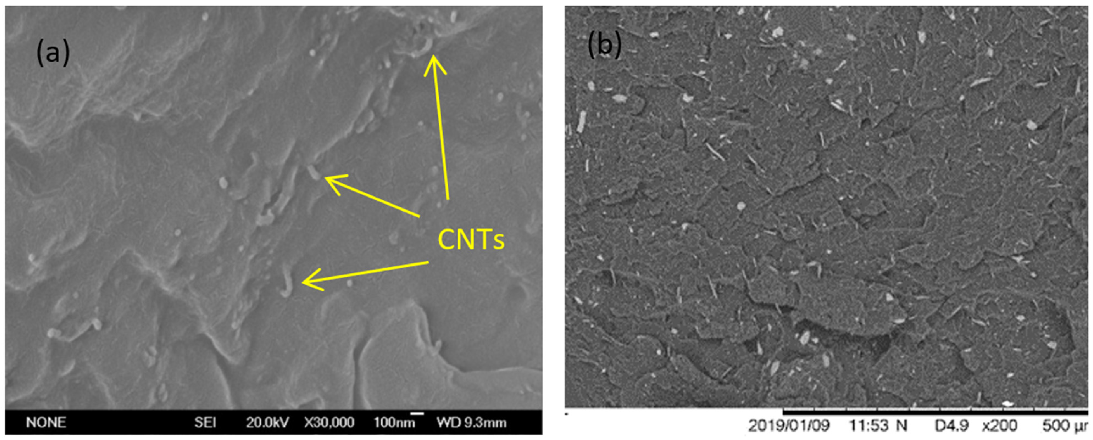 Polymers 14 02945 g005 550