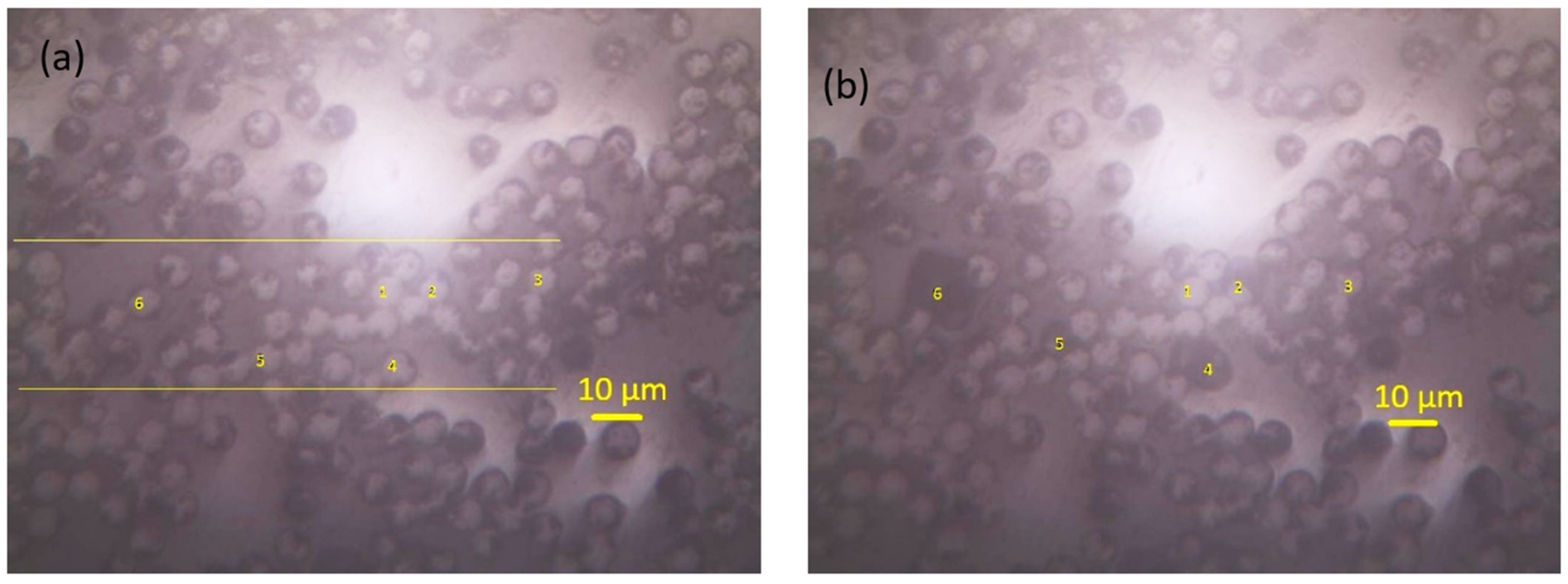 Polymers 14 02945 g010 550