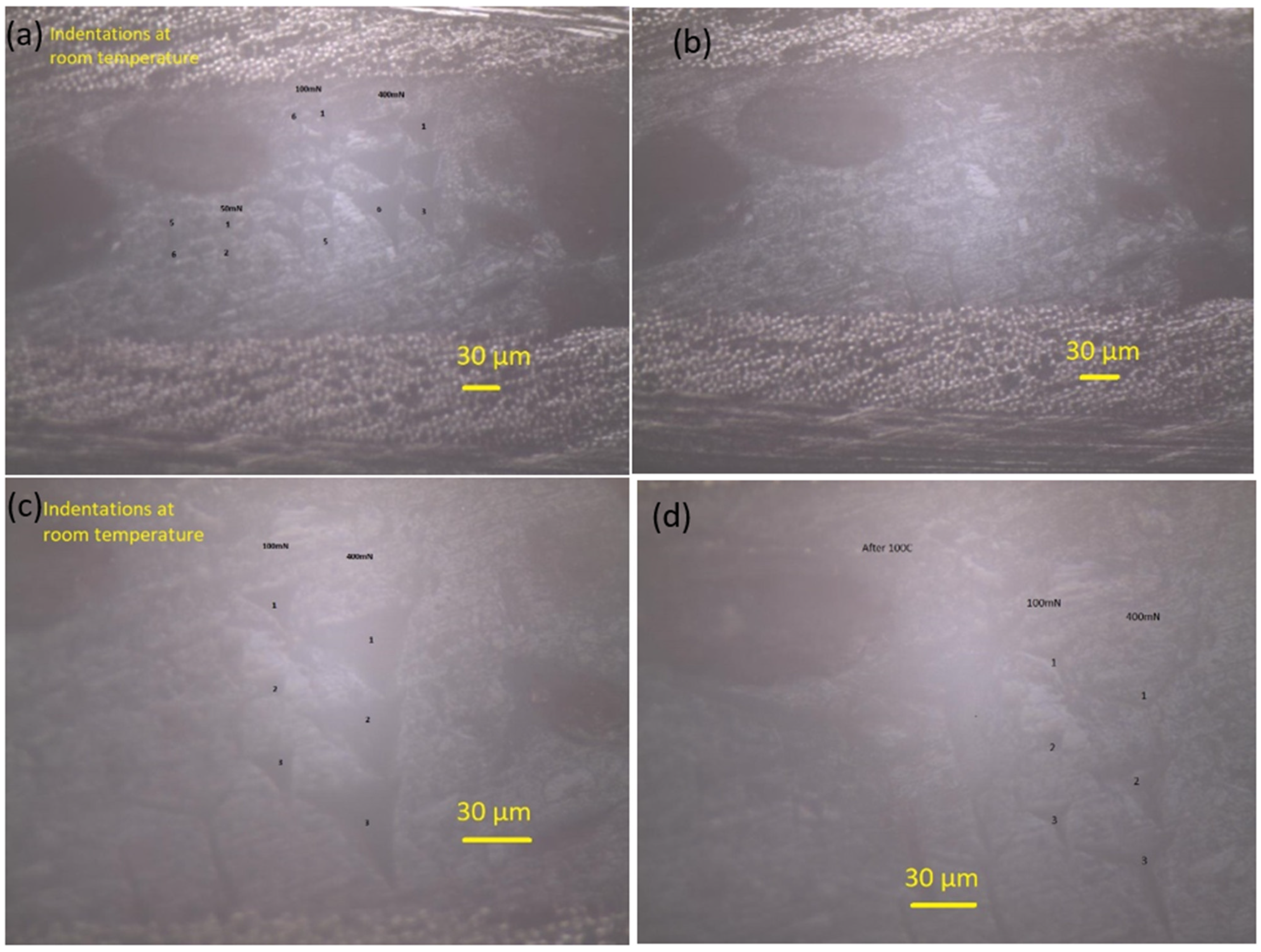 Polymers 14 02945 g015 550