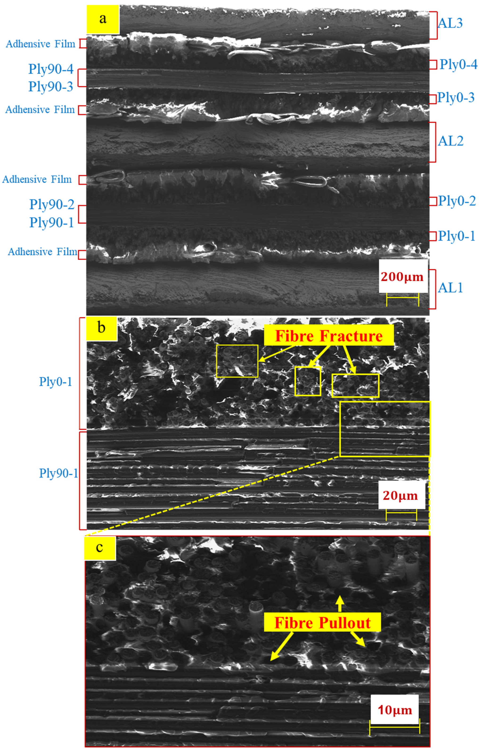 Polymers 14 02946 g011 550