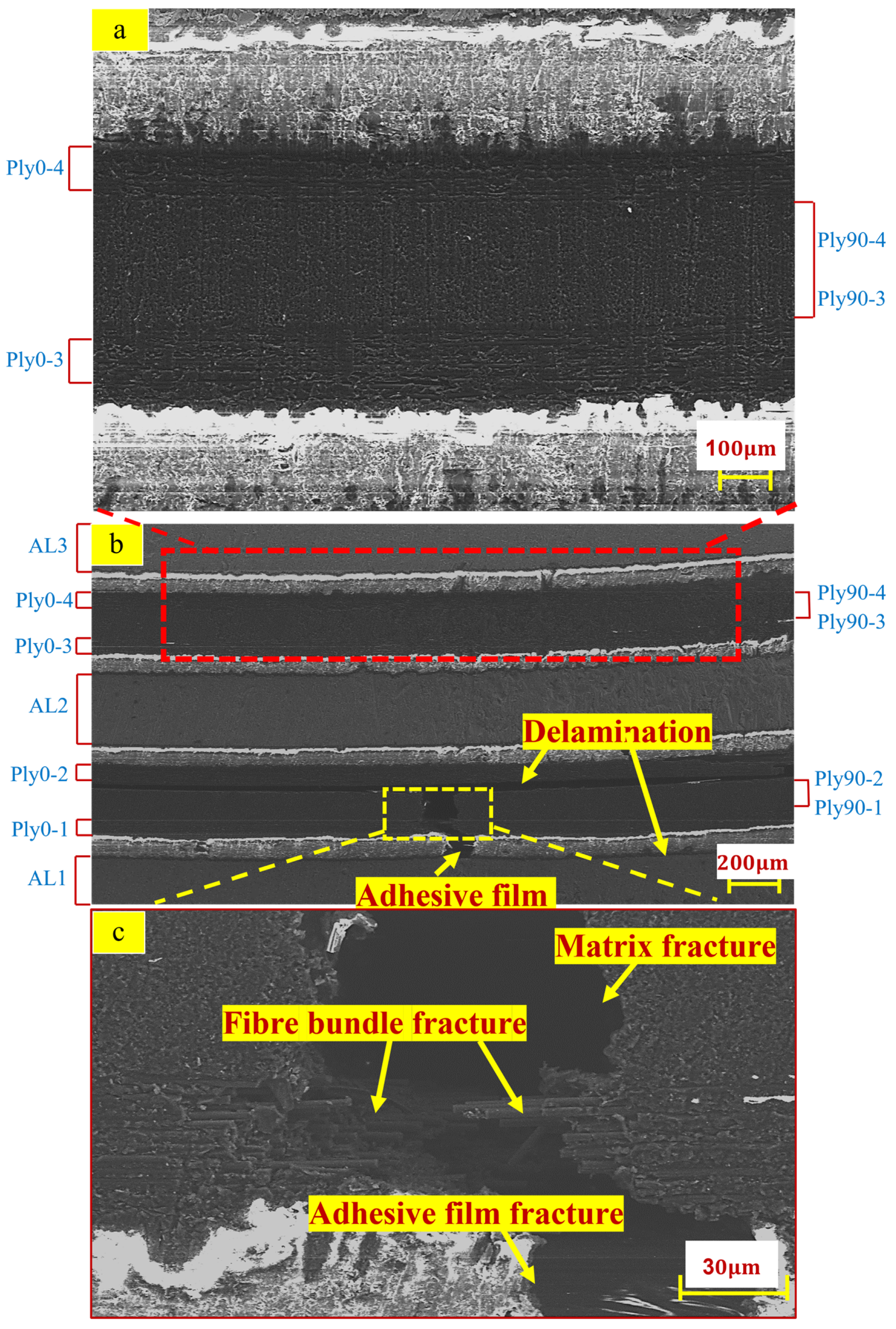 Polymers 14 02946 g017 550