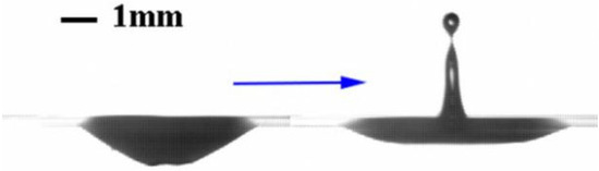 Dynamics of Rising Bubbles and Their Impact with Viscoelastic Fluid Interfaces Dynamics of Rising Bubbles and Their Impact with Viscoelastic Fluid Interfaces