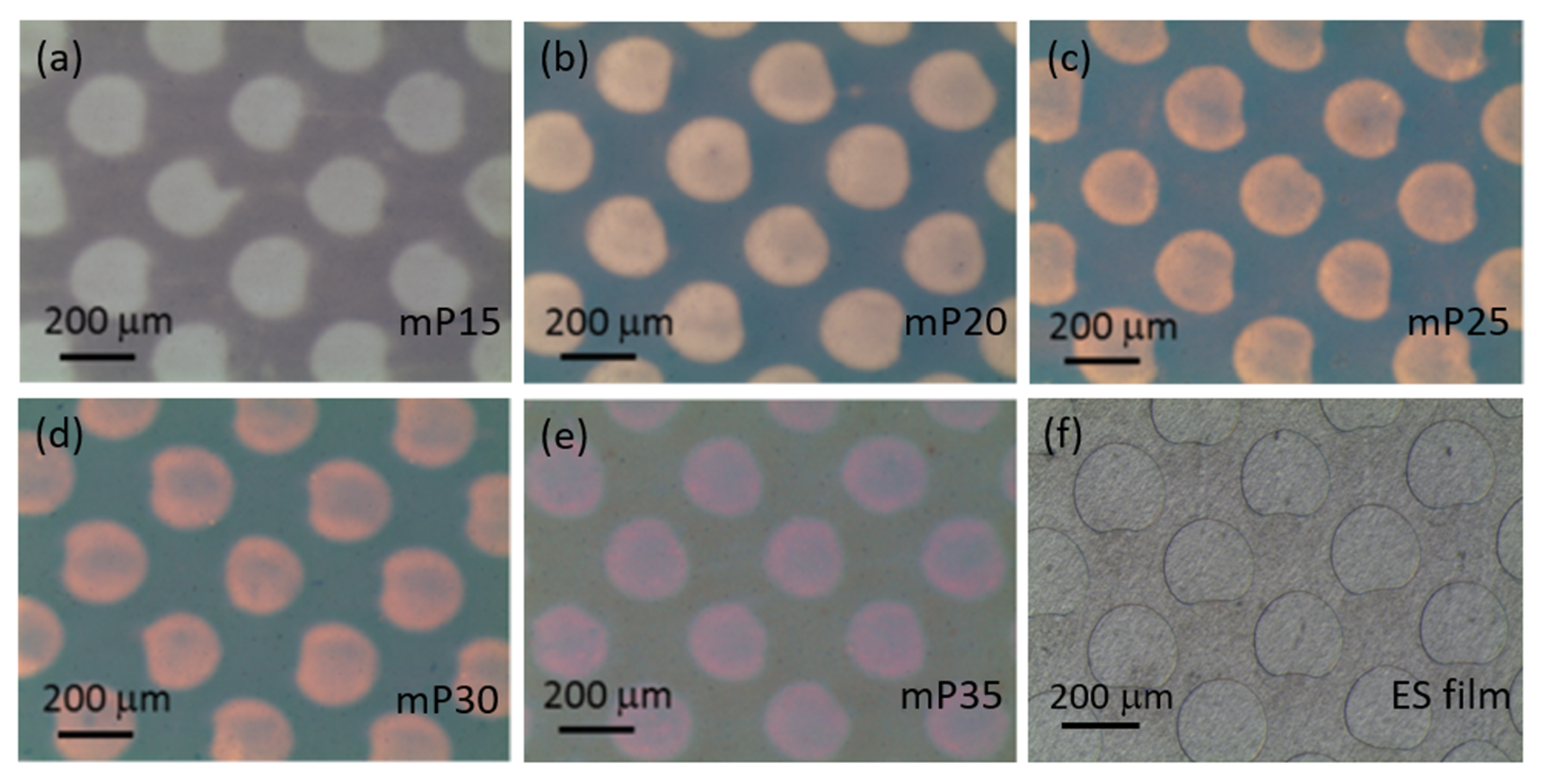 Polymers 14 02951 g001