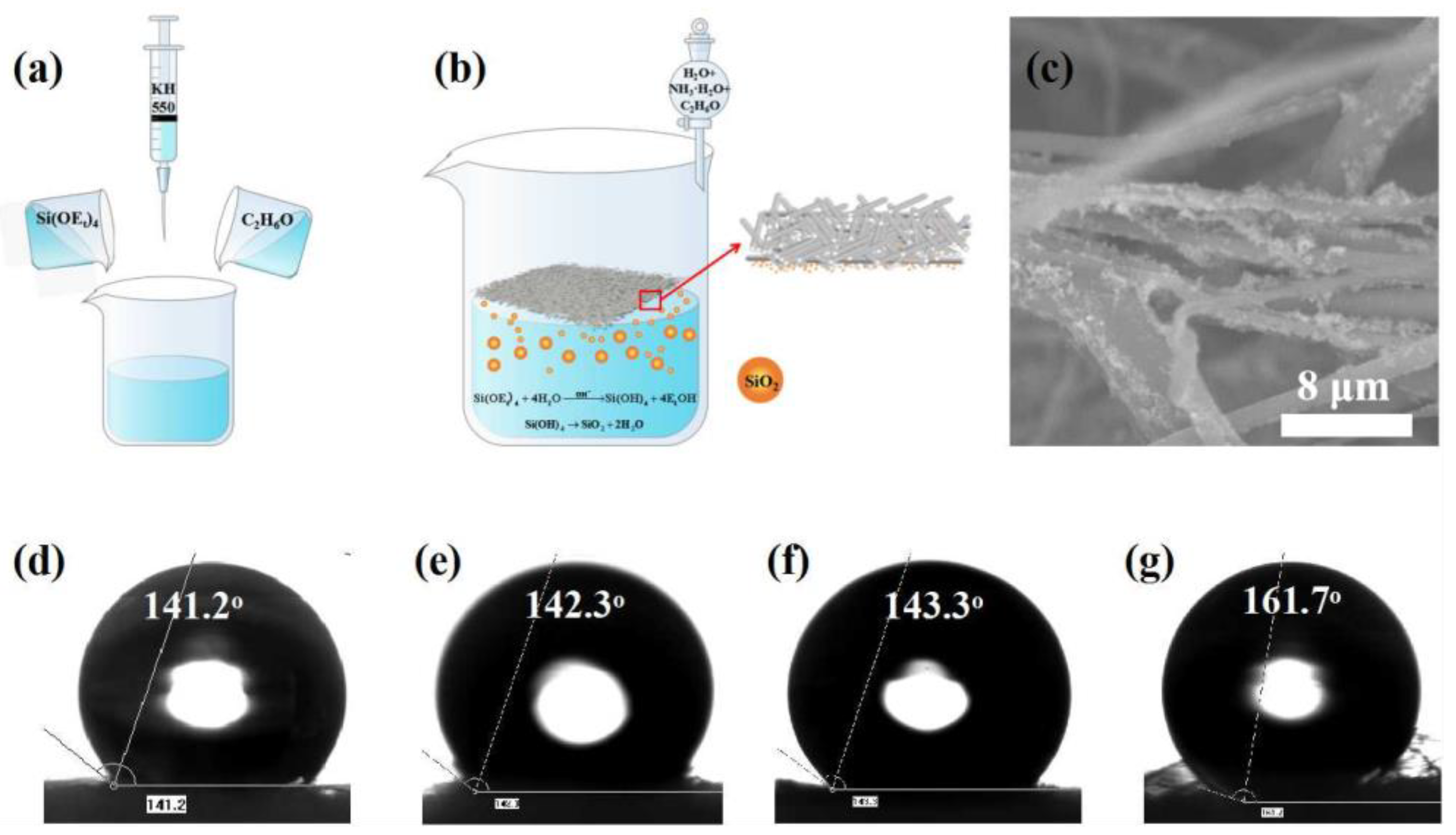 Polymers 14 02952 g004