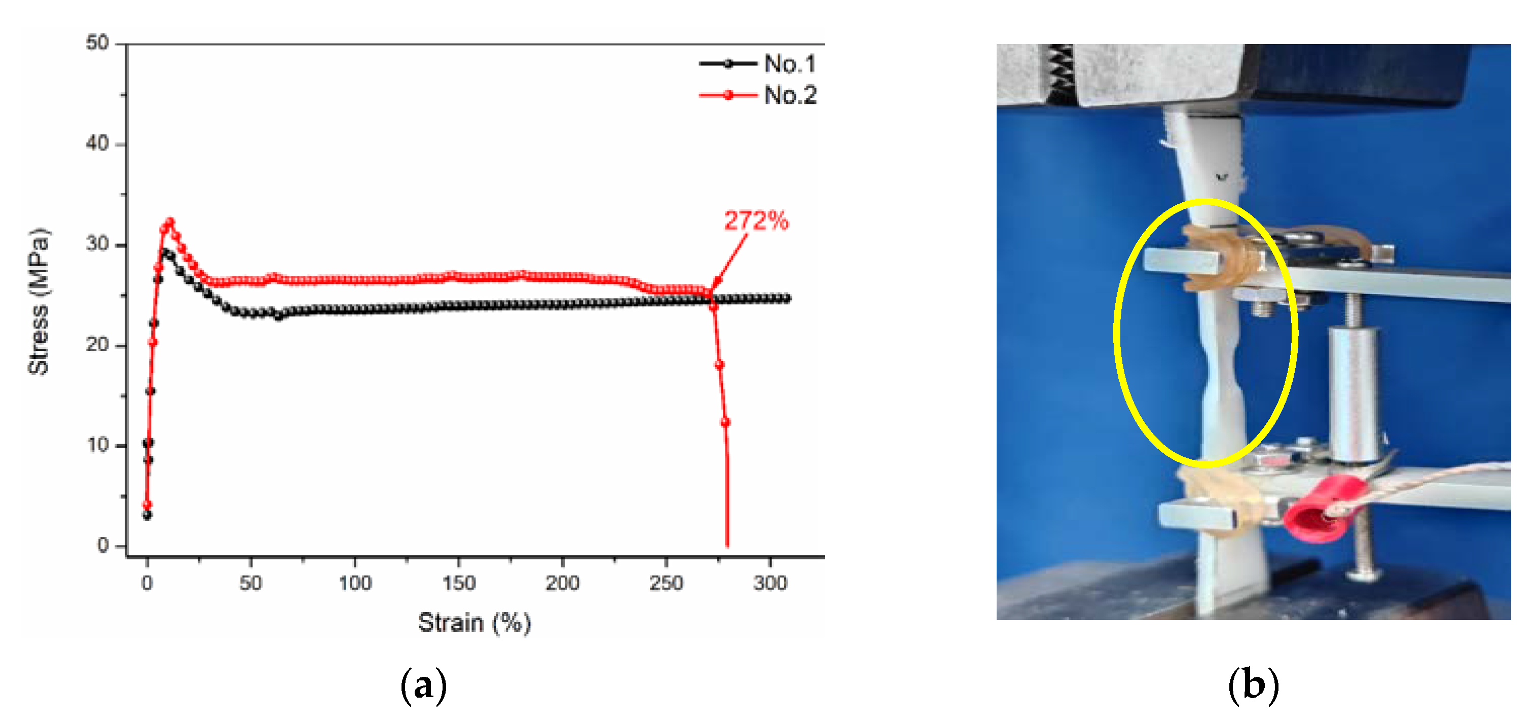 Polymers 14 02953 g006