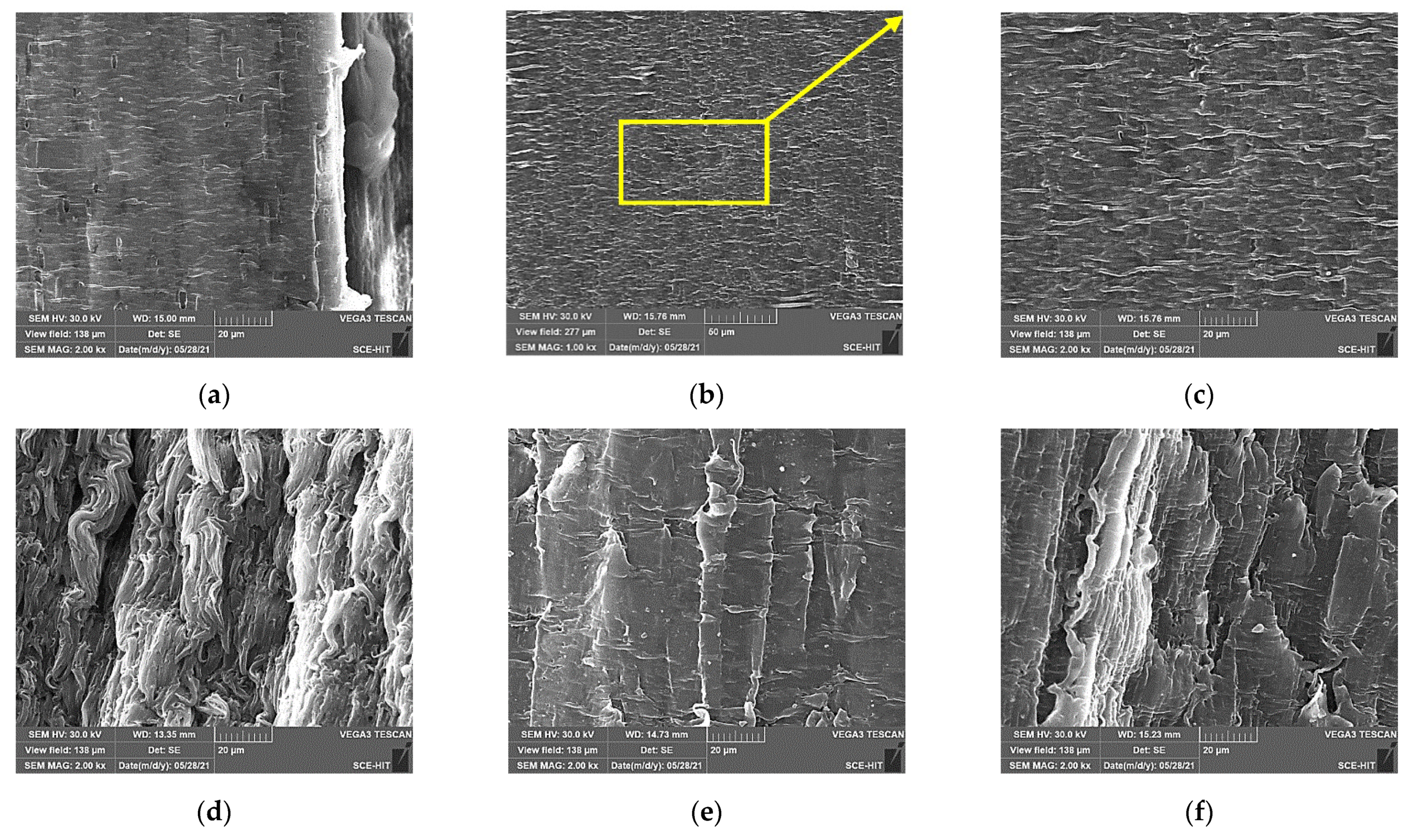 Polymers 14 02953 g011
