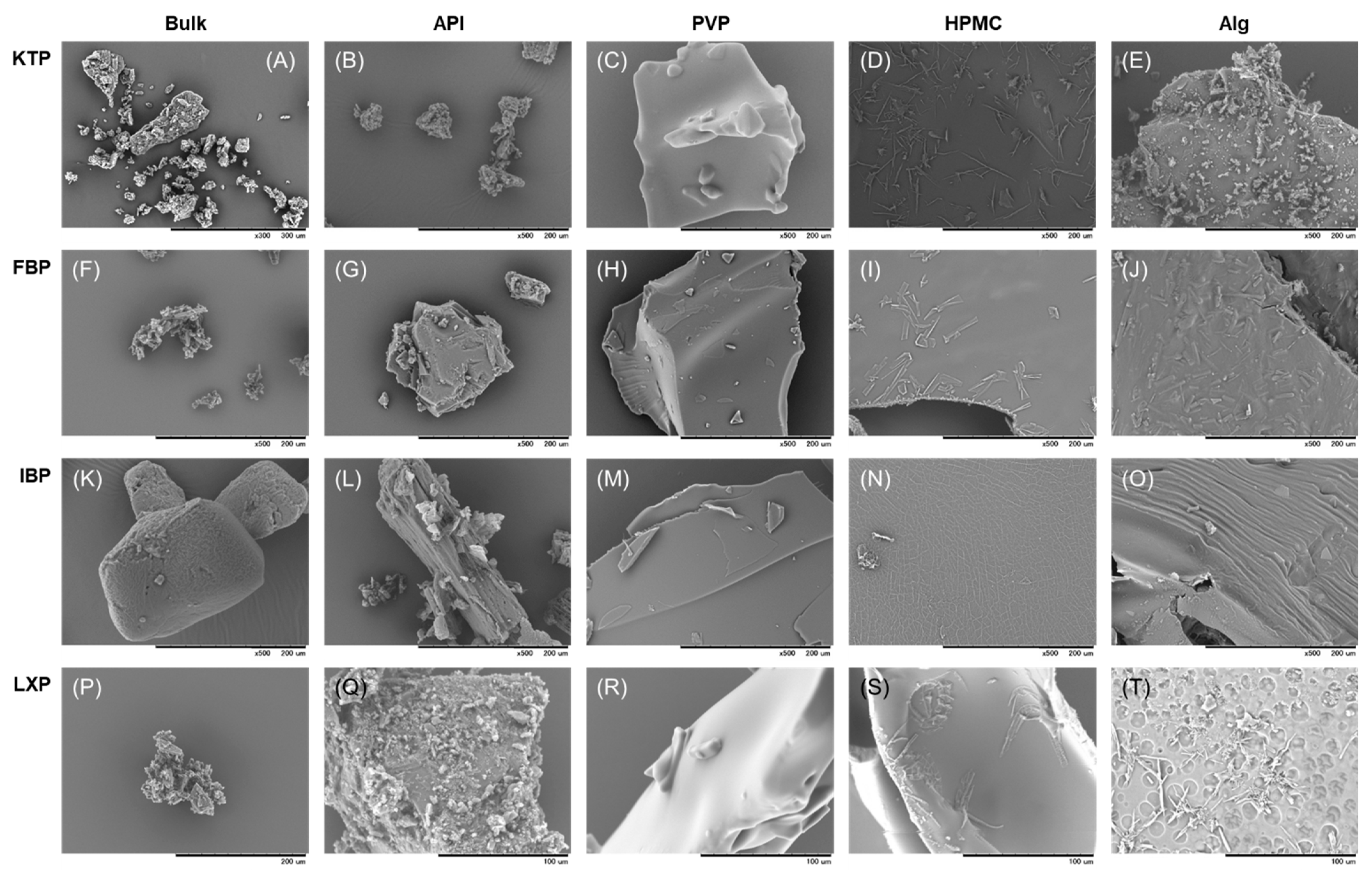 Polymers 14 02954 g004