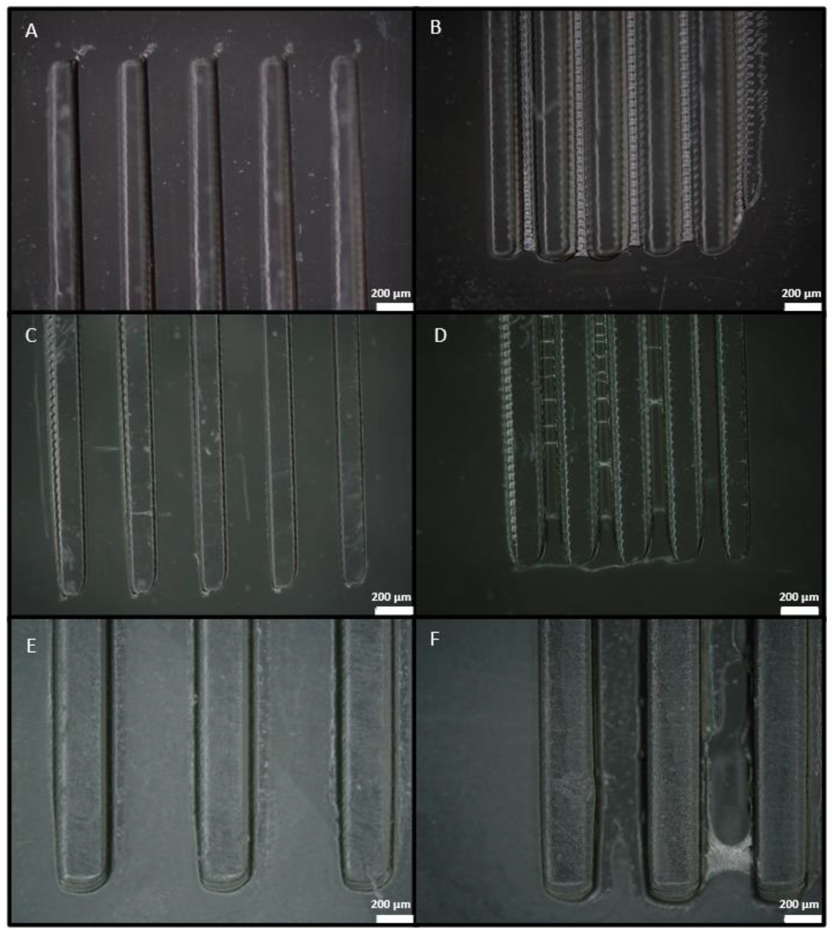Polymers 14 02955 g006