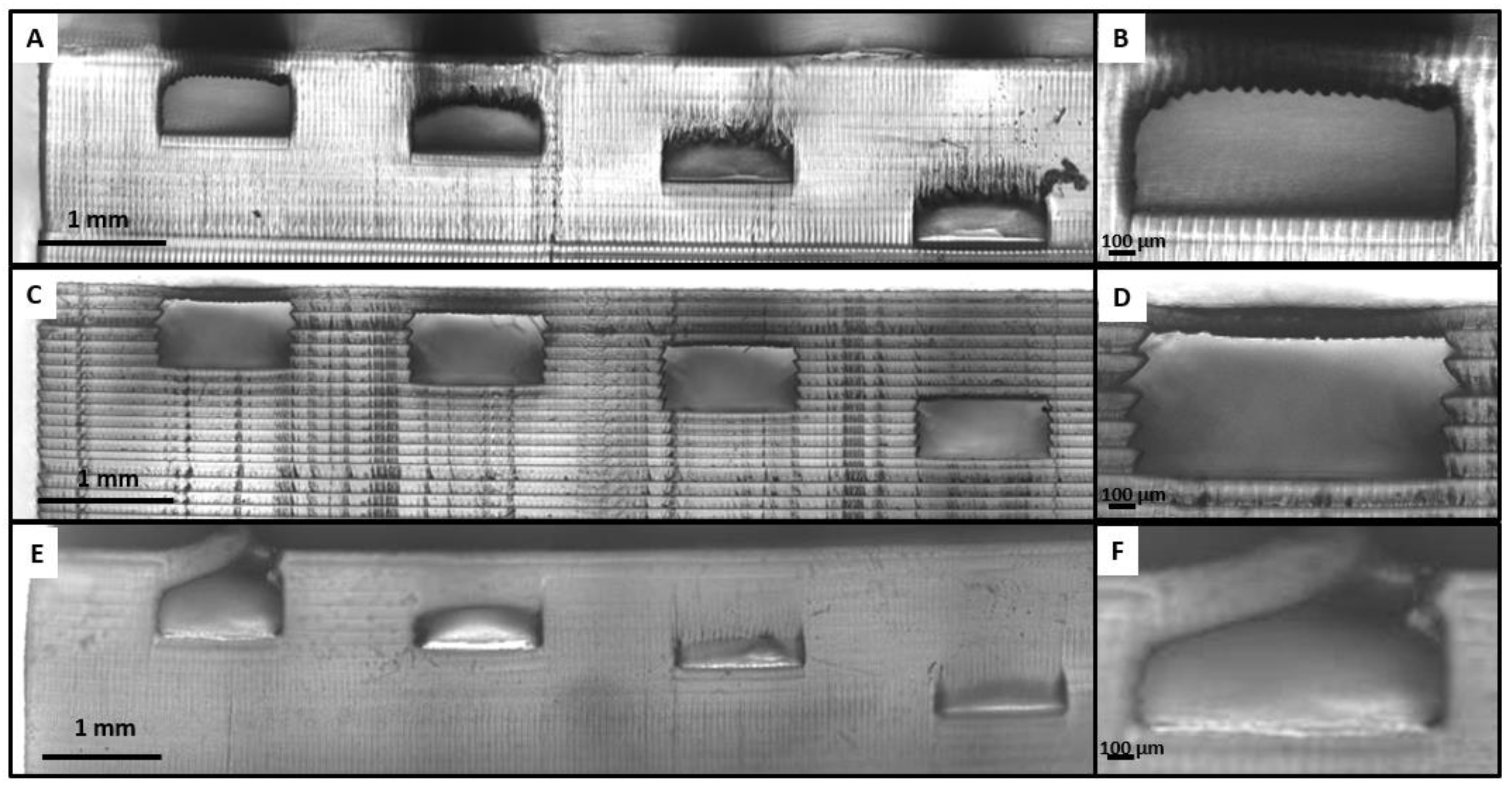 Polymers 14 02955 g010