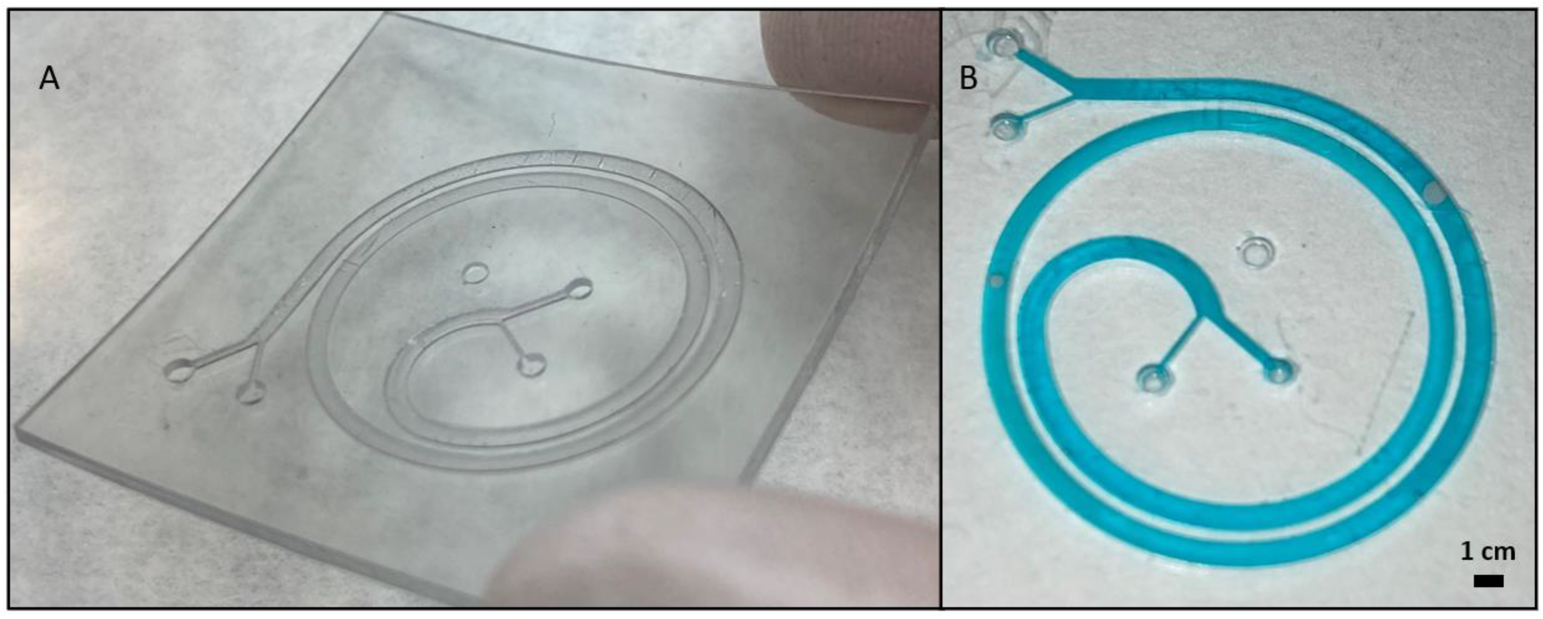 Polymers 14 02955 g012