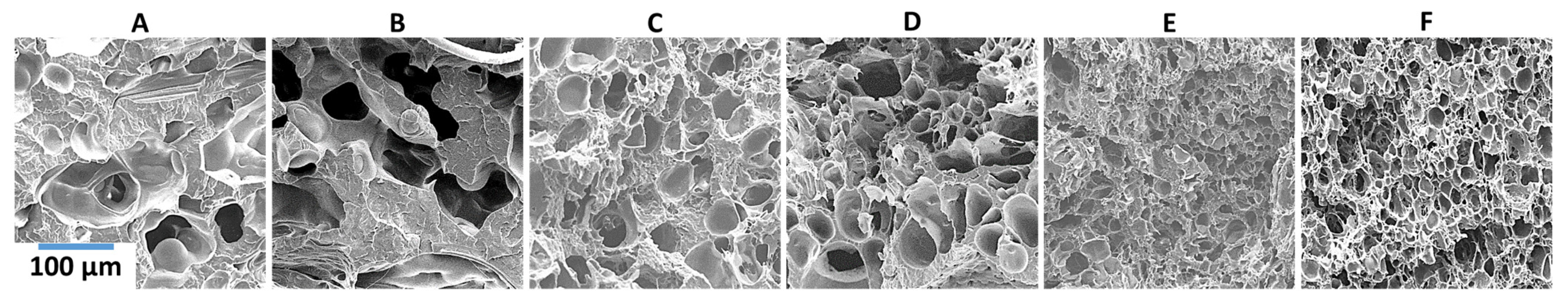 Polymers 14 02958 g007 550
