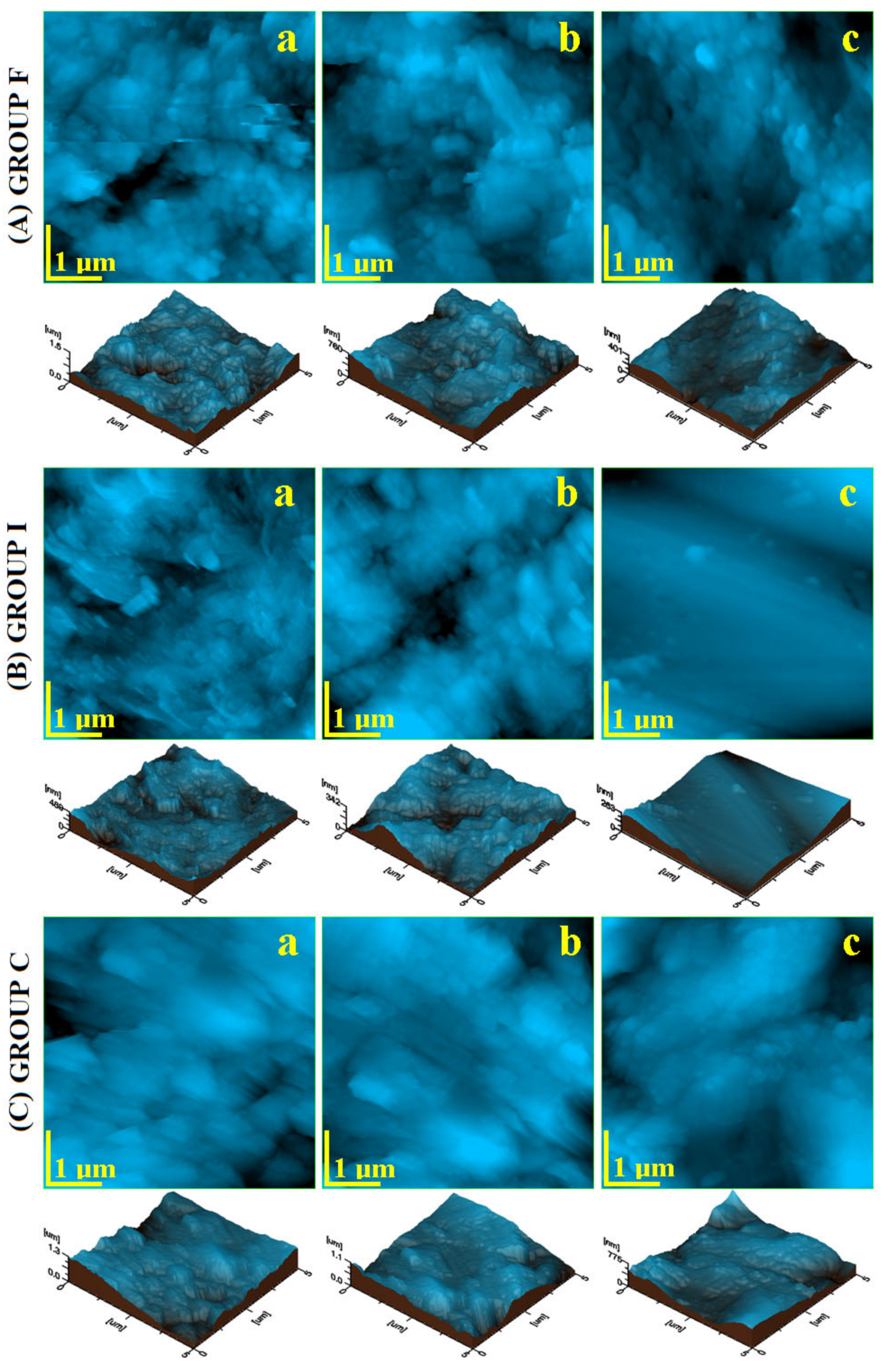 Polymers 14 02969 g002 Polymers 14 02969 g002