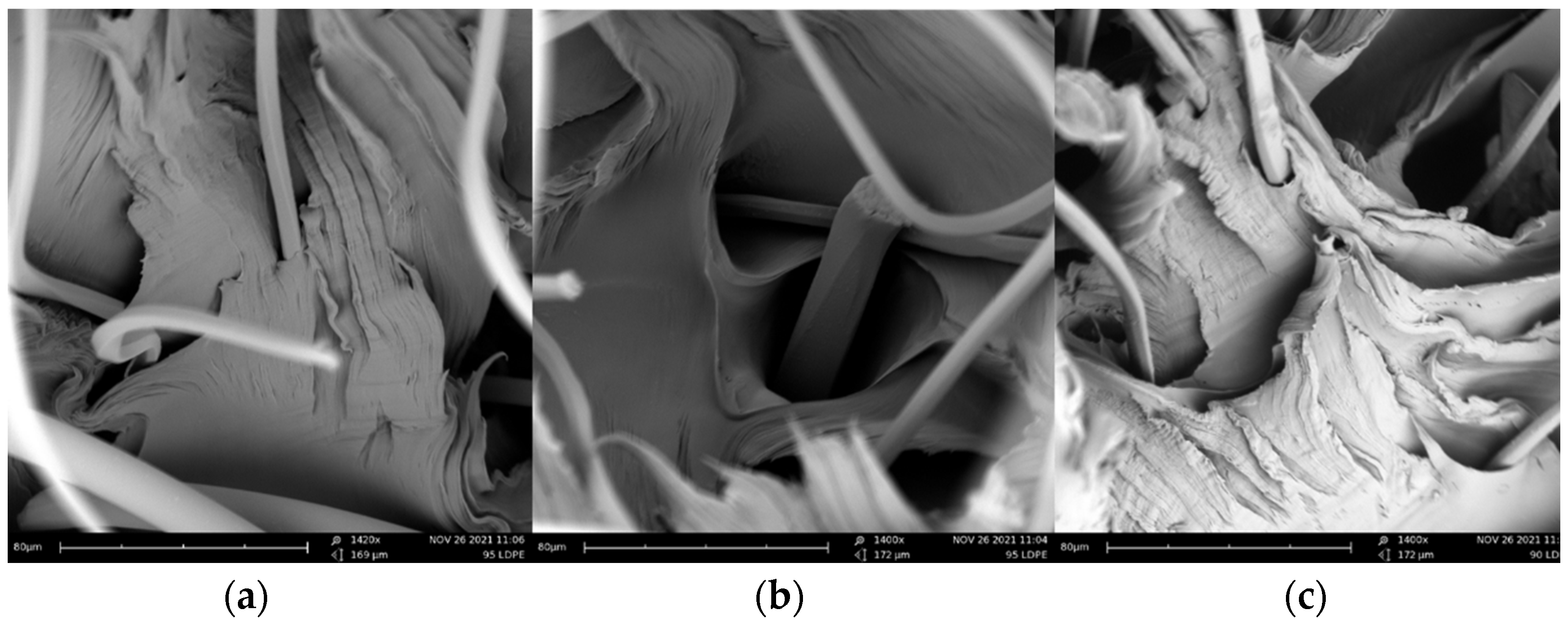 Polymers 14 02971 g004
