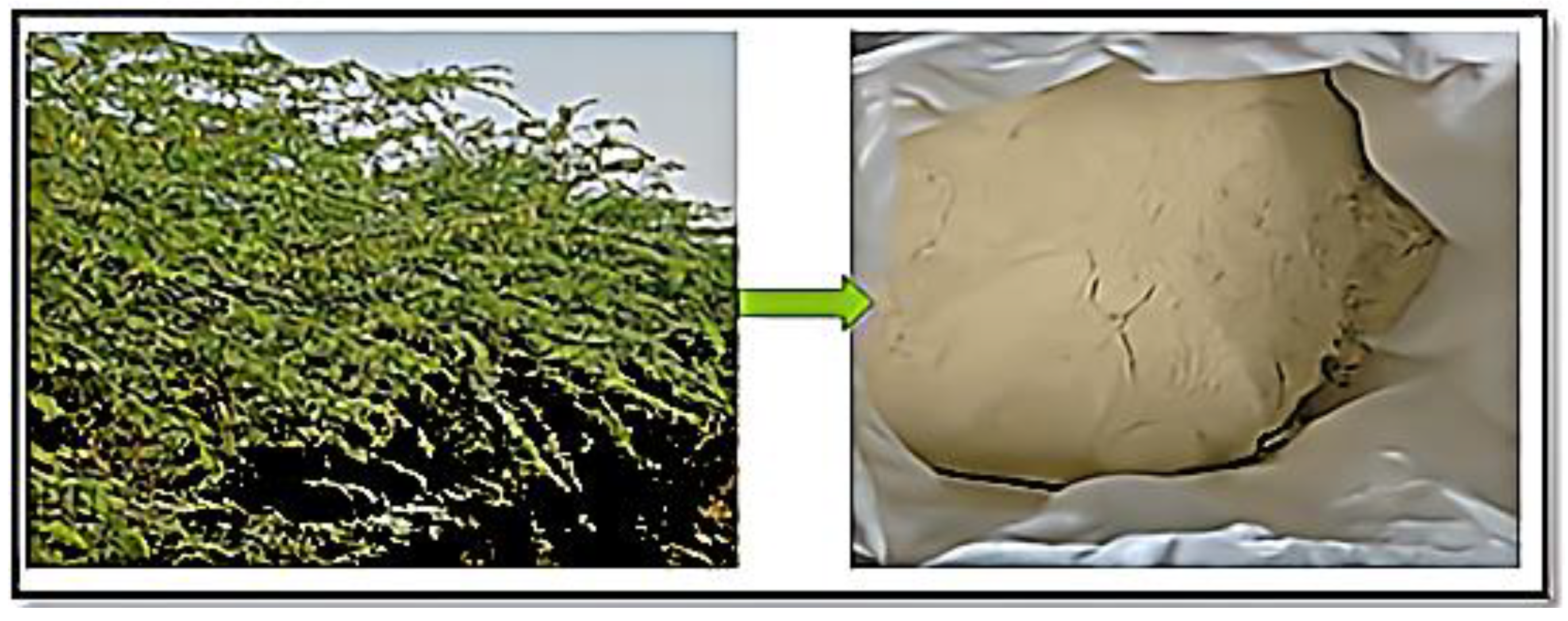 Polymers 14 02973 g001 550