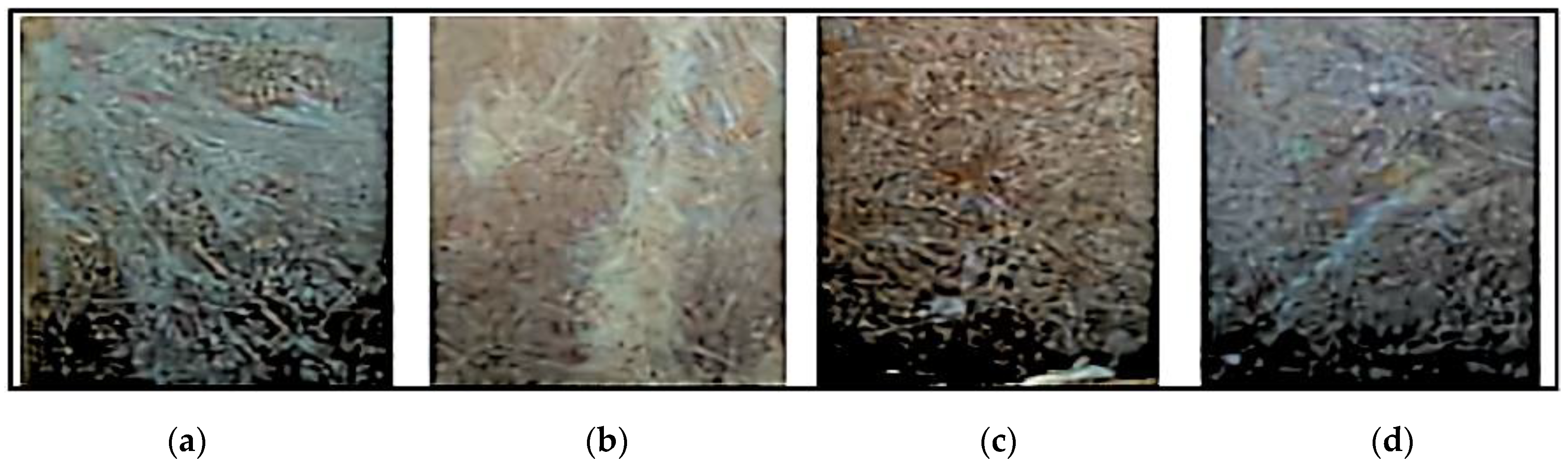 Polymers 14 02973 g006 550