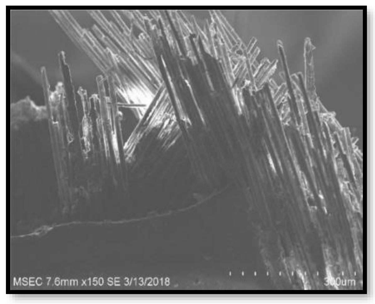 Polymers 14 02973 g009 550