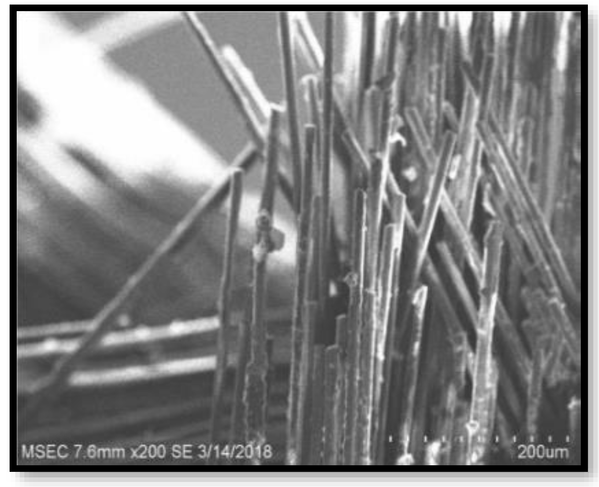 Polymers 14 02973 g010 550