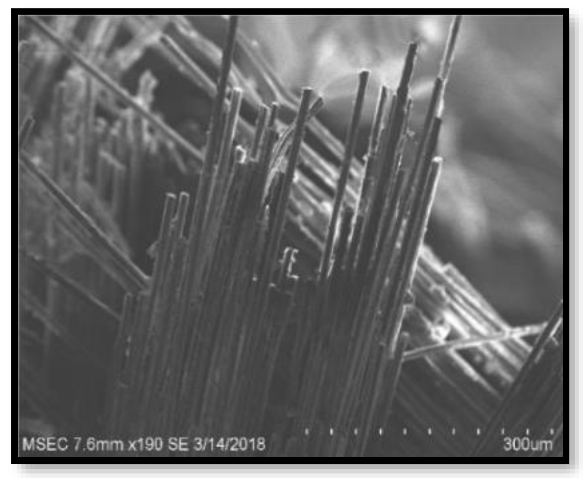 Polymers 14 02973 g011 550