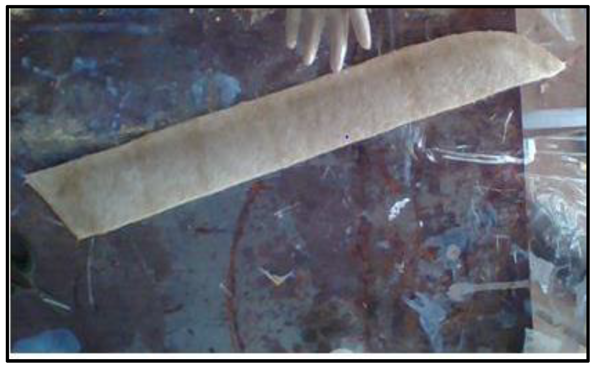 Polymers 14 02973 g016 550