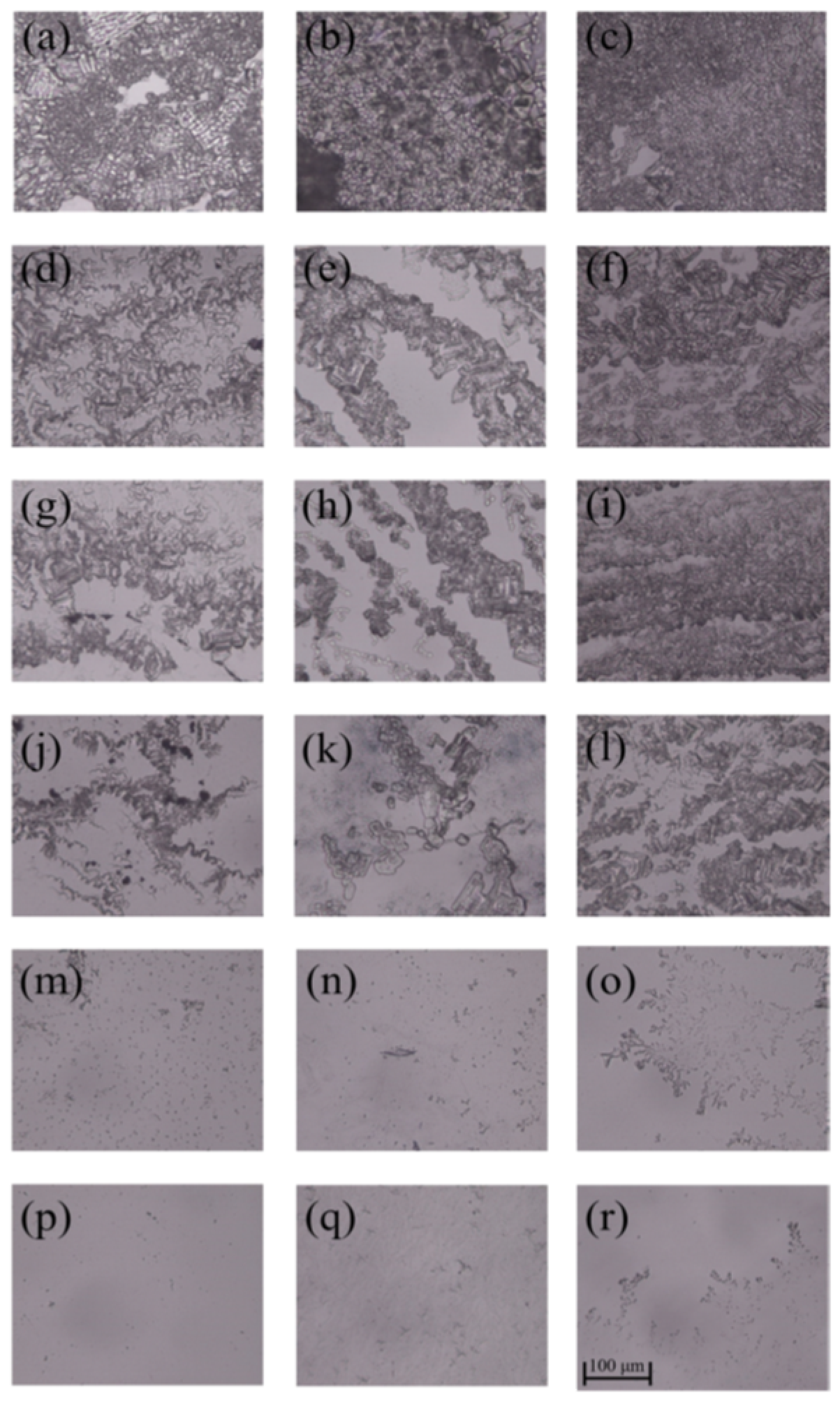 Polymers 14 02975 g007