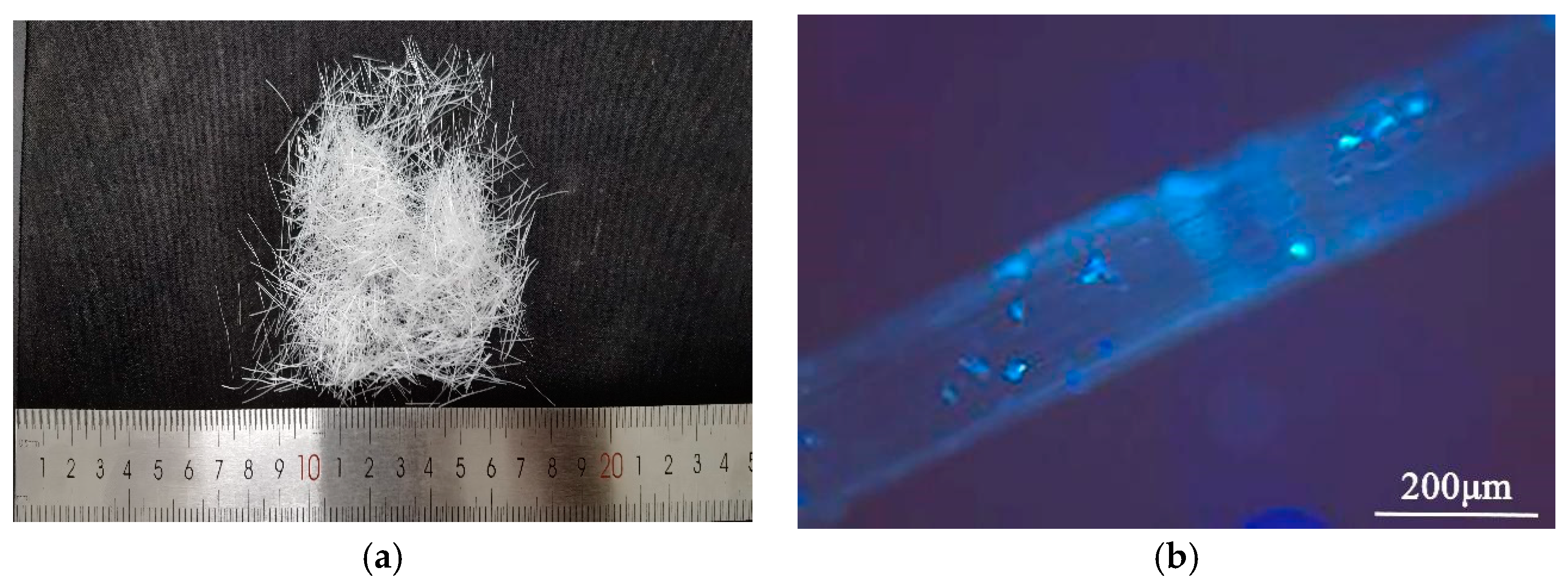 Polymers 14 02979 g001 550