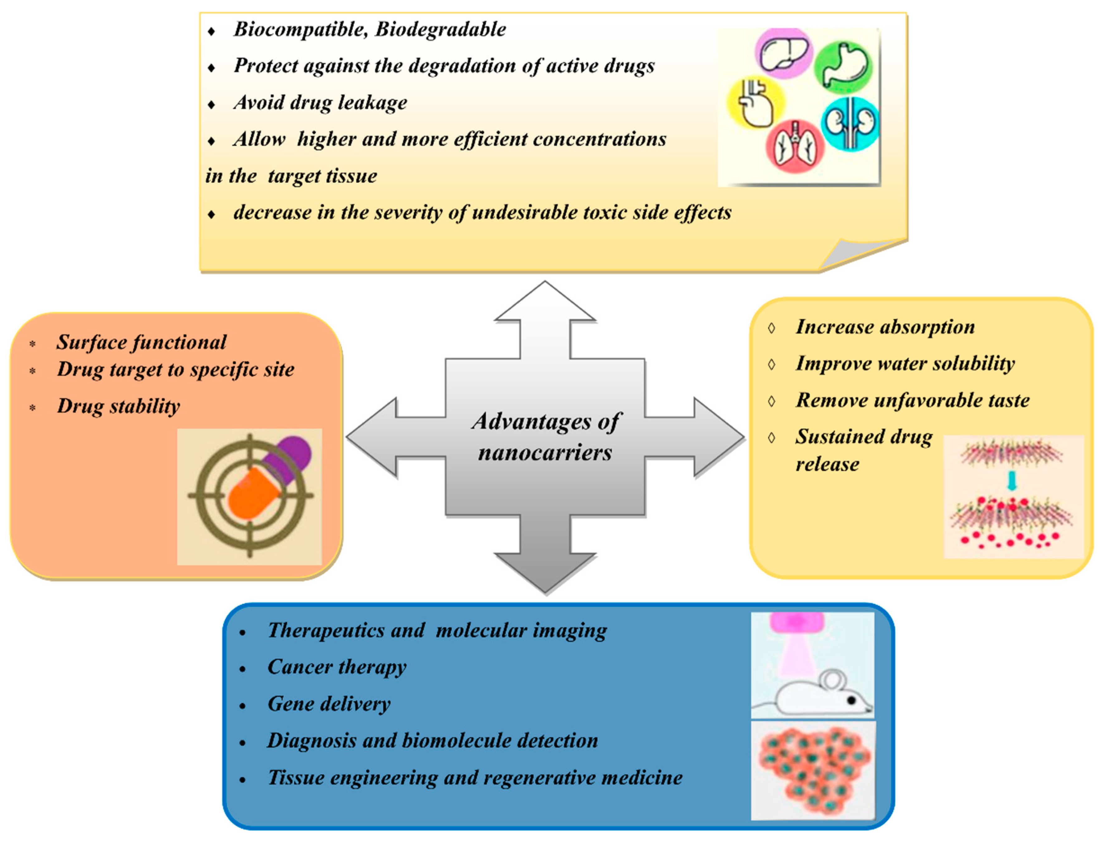 Polymers 14 02991 g002