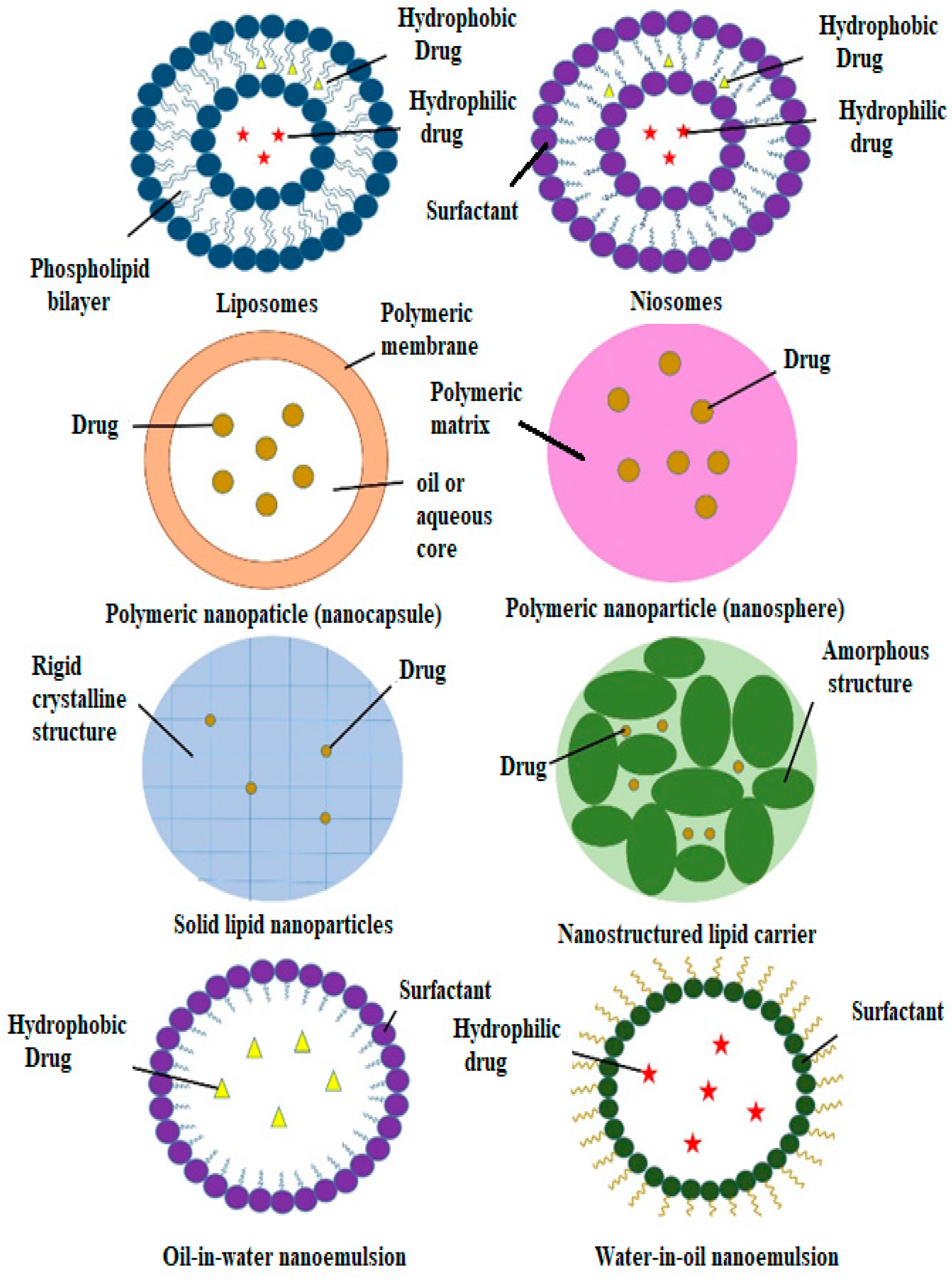 Polymers 14 02991 g003