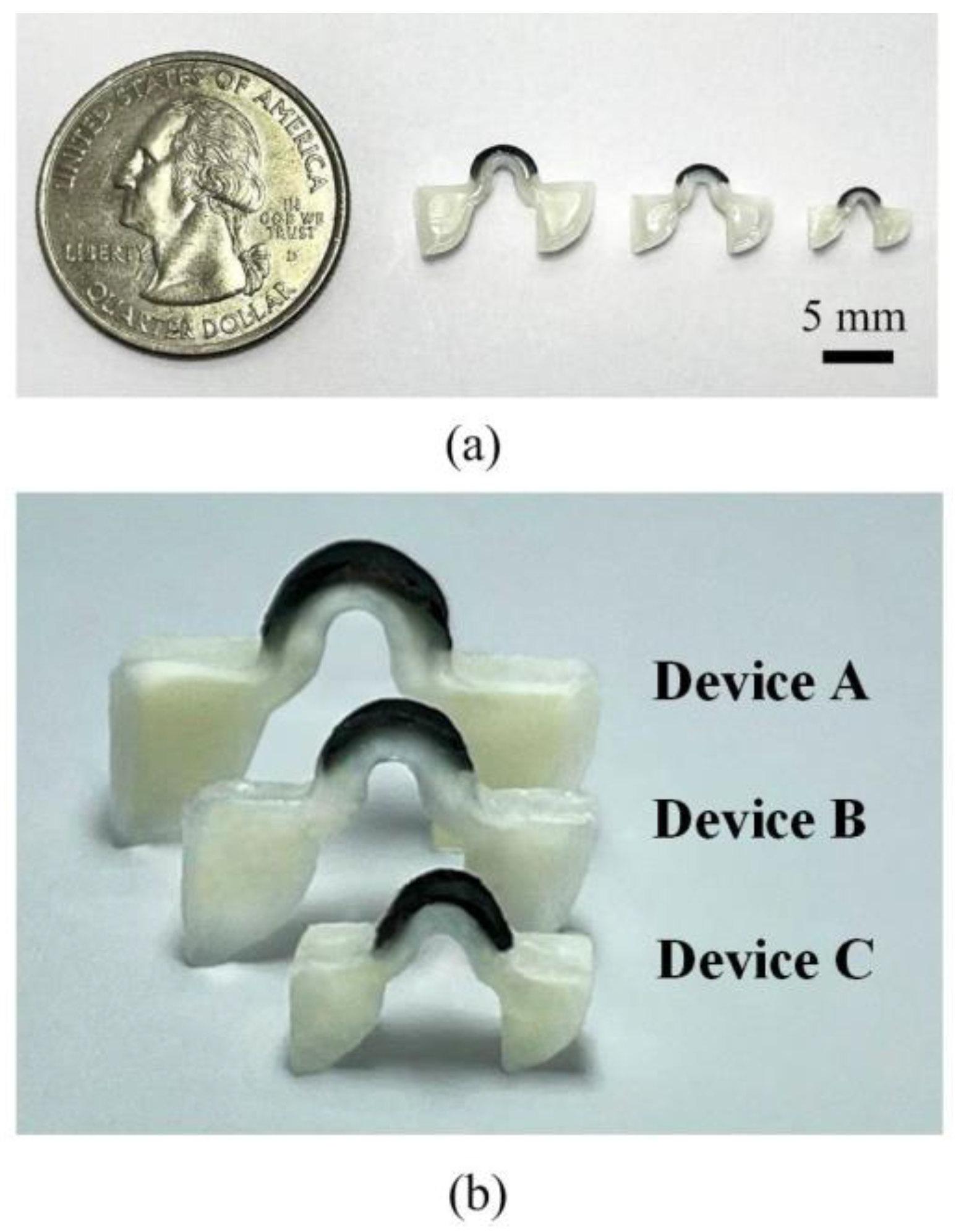 Polymers 14 02997 g006 550