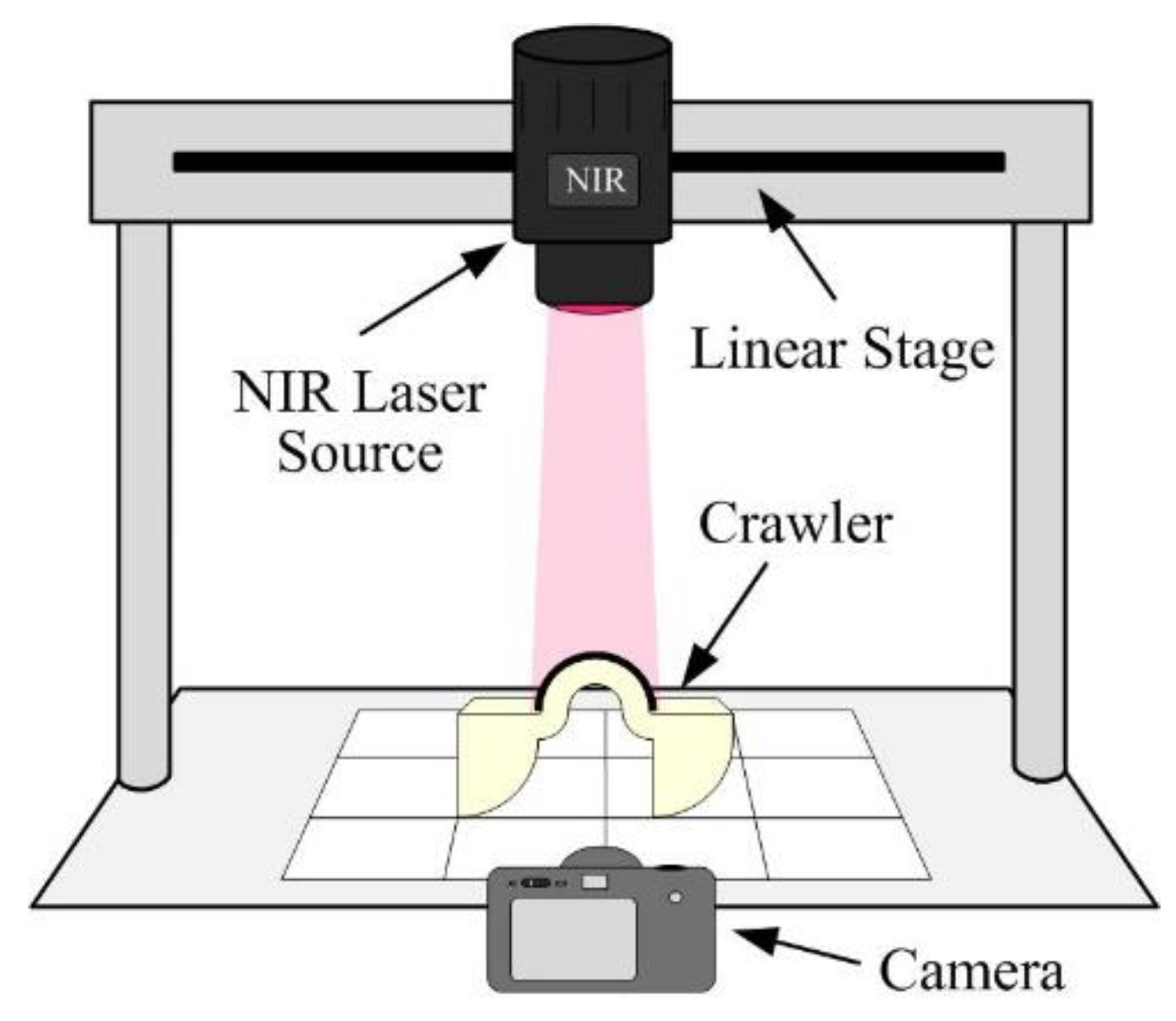 Polymers 14 02997 g009 550