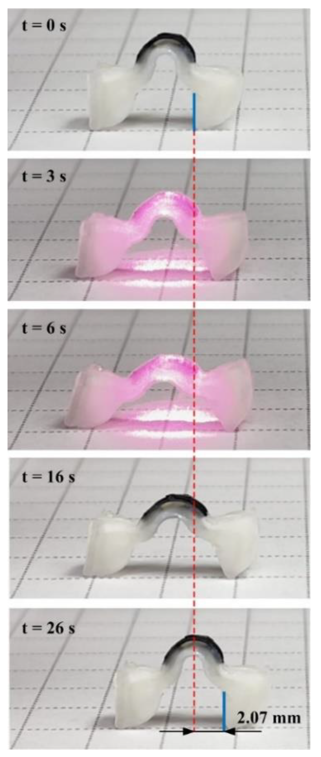 Polymers 14 02997 g010 550