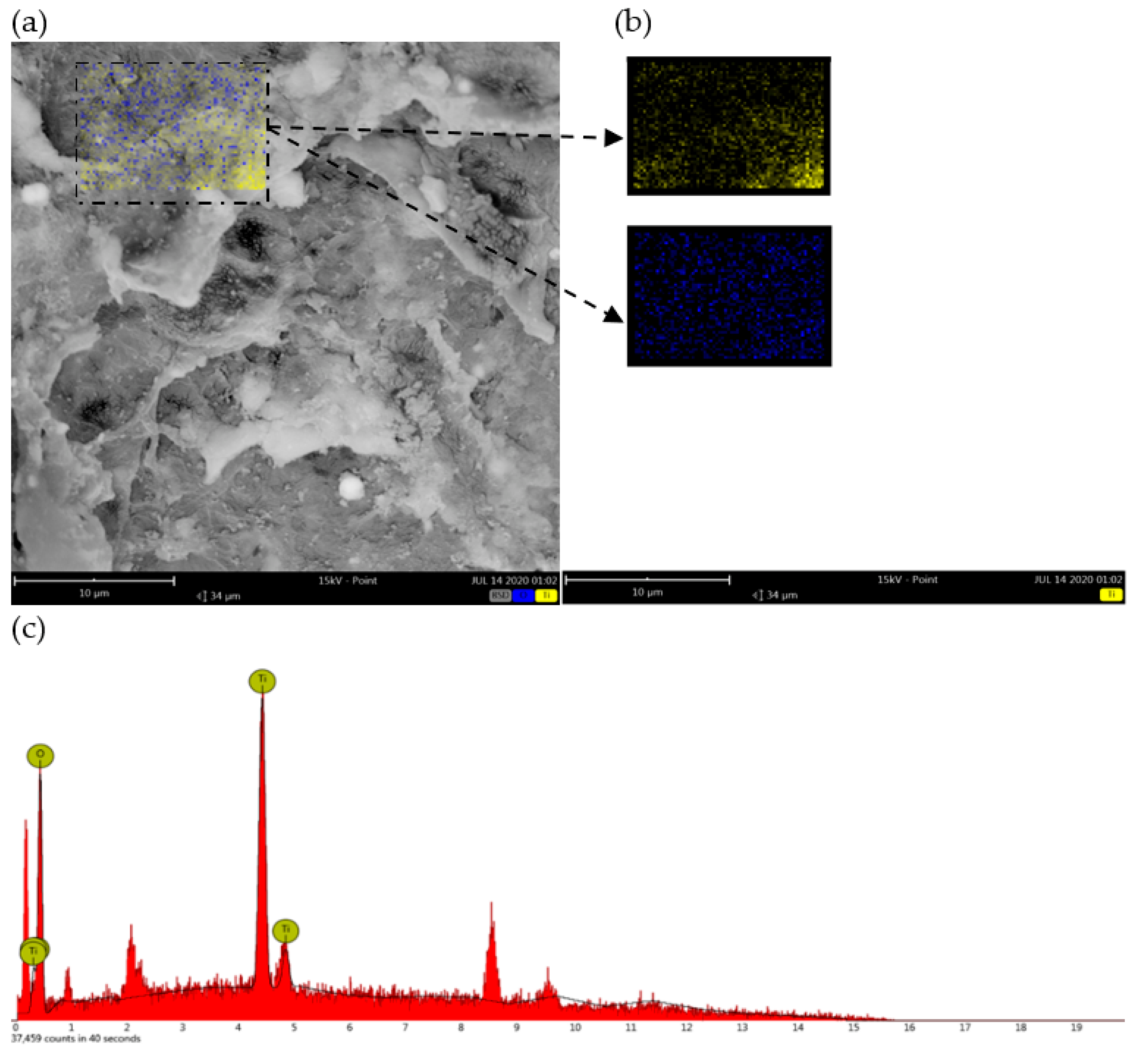 Polymers 14 02998 g007 550