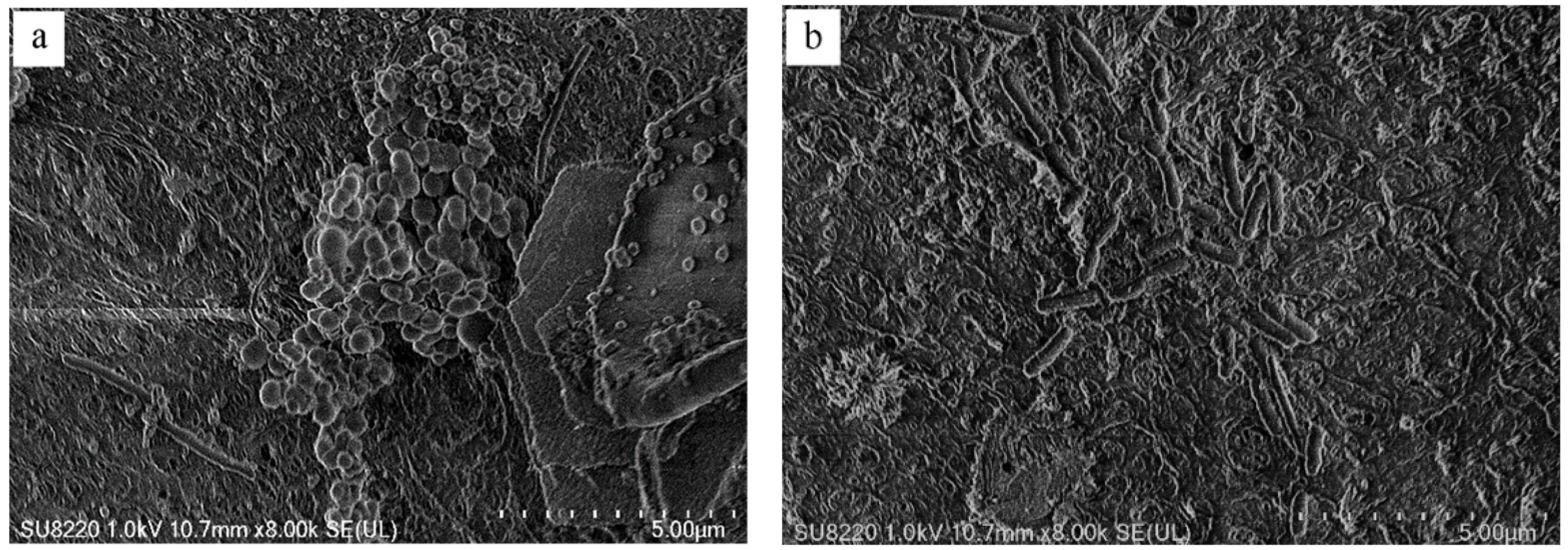 Polymers 14 02998 g011 550