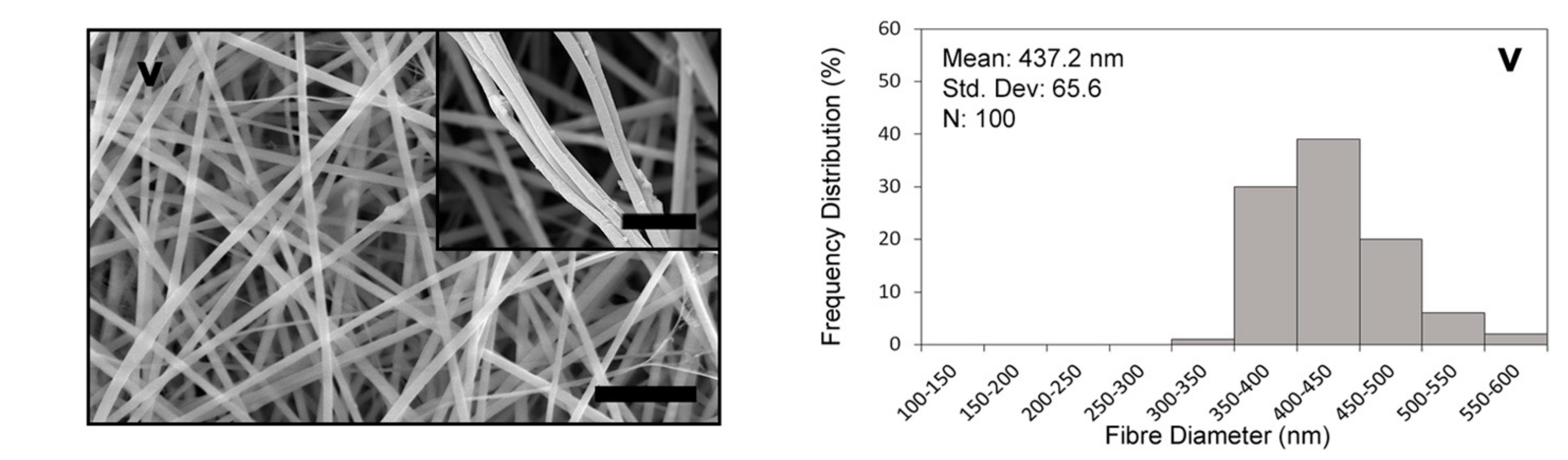 Polymers 14 03004 g001b 550