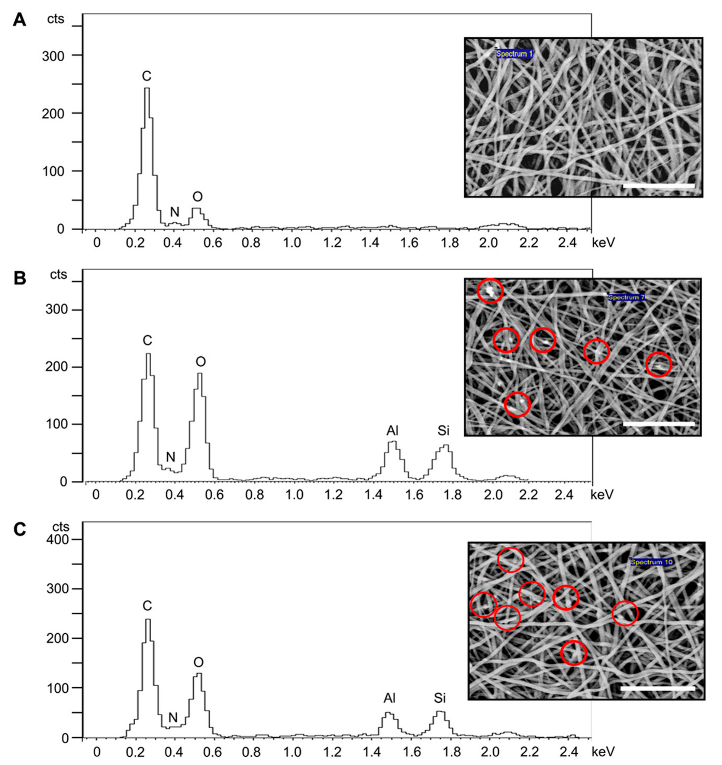 Polymers 14 03004 g002a 550